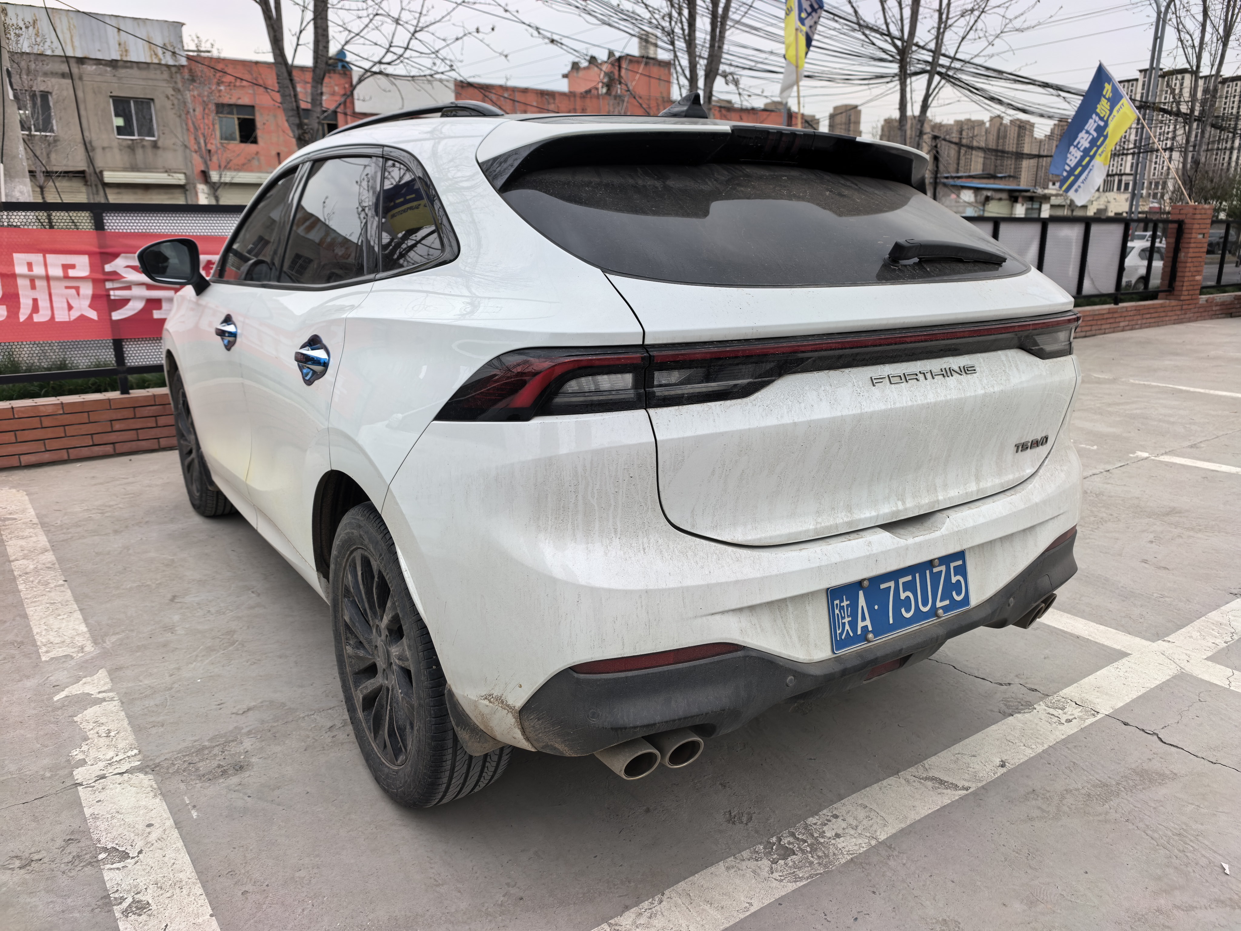 T5 EVO 2021 car image #6