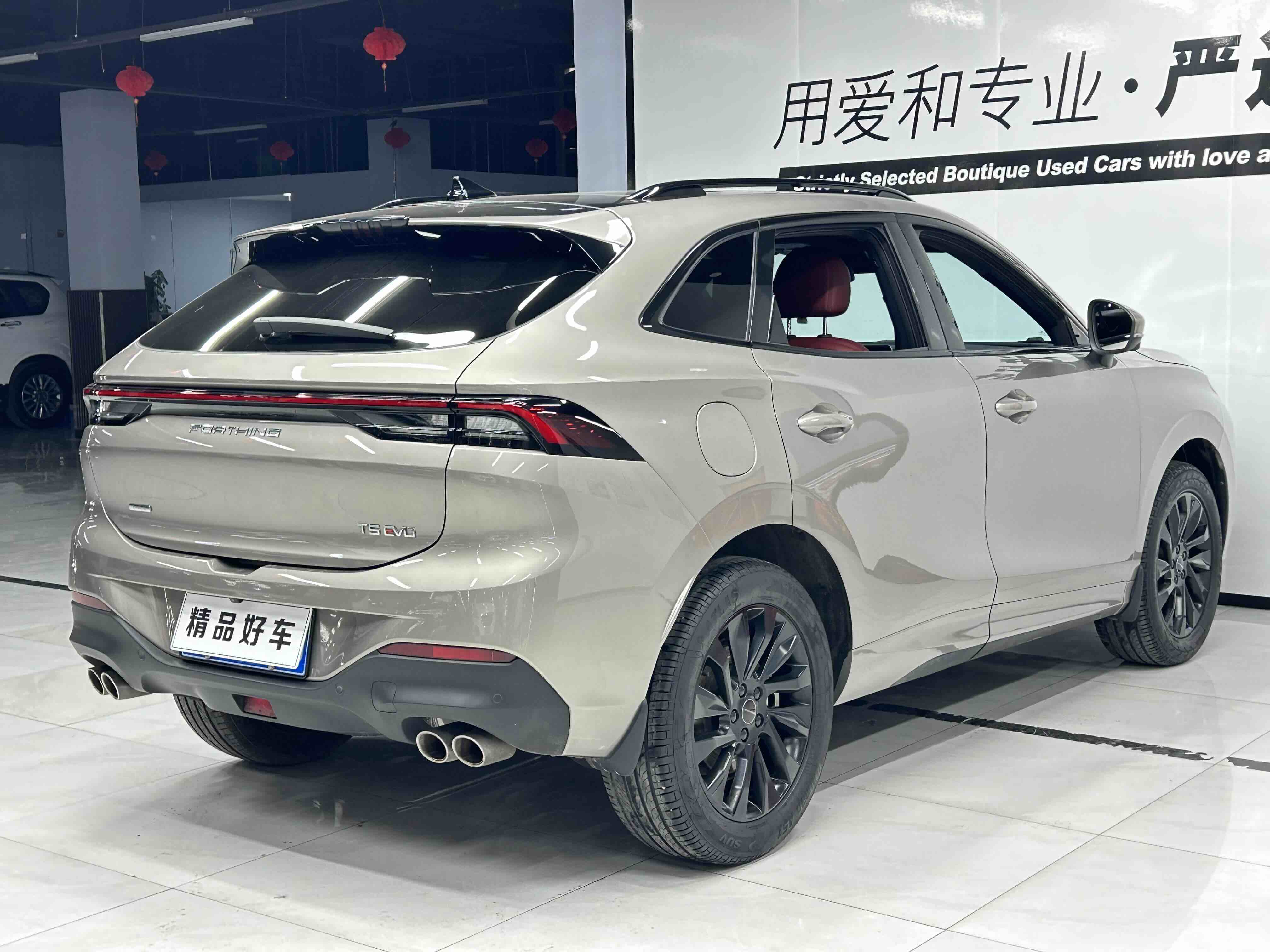 Forthing T5 EVO 2021 immagine di auto #6