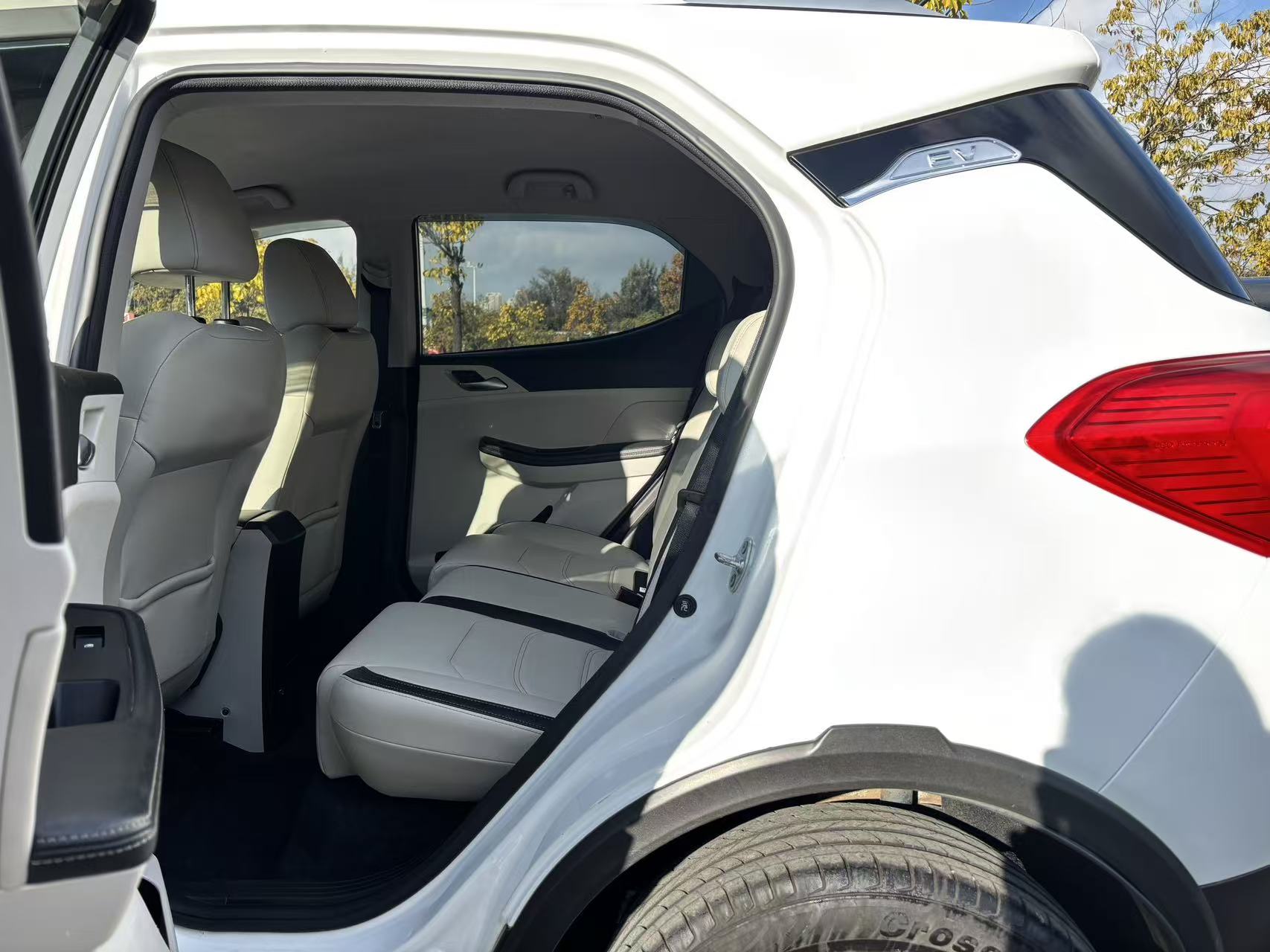 BYD Yuan Pro 2021 car image #6
