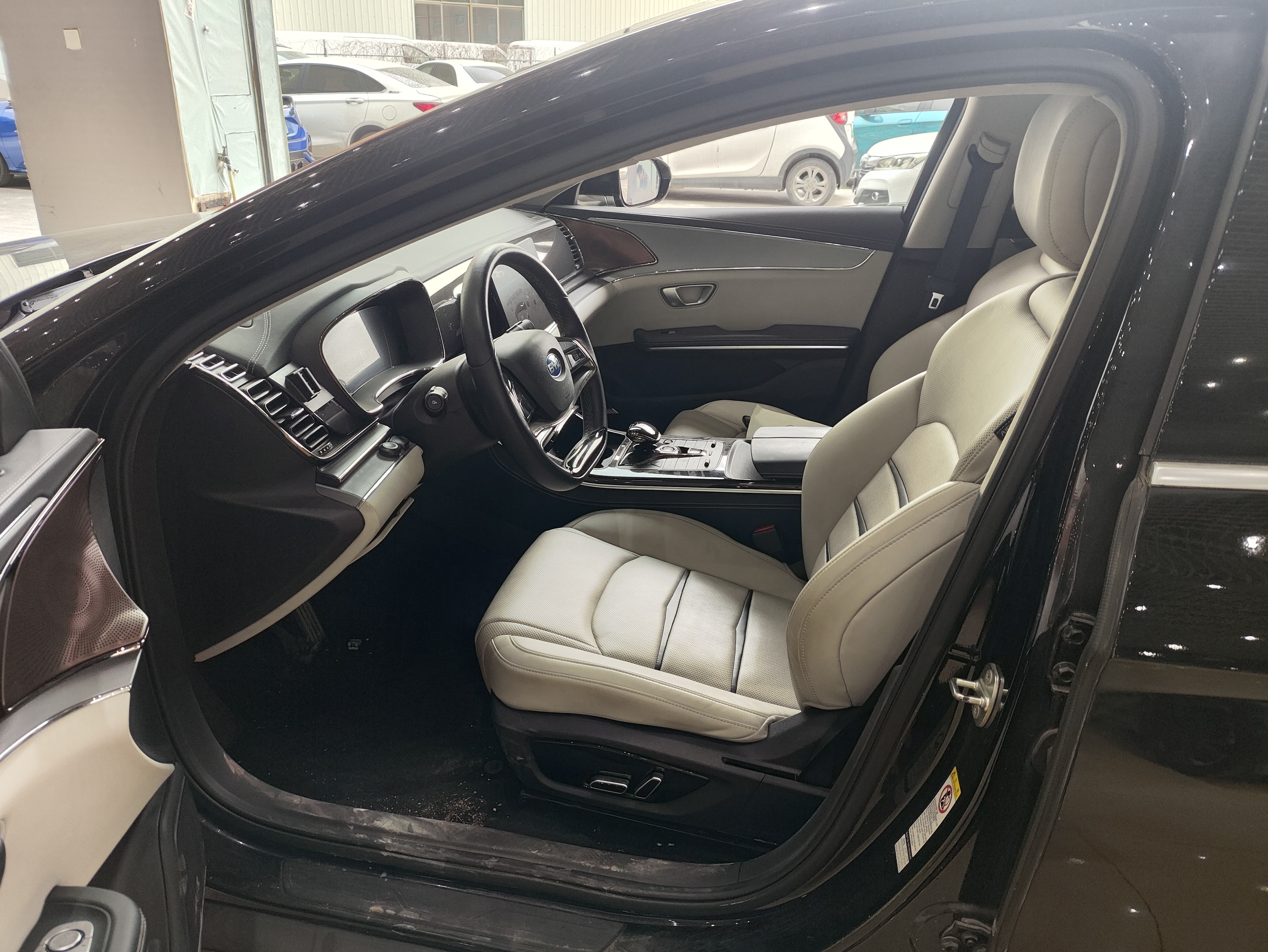 BYD e9 2021 car image #6