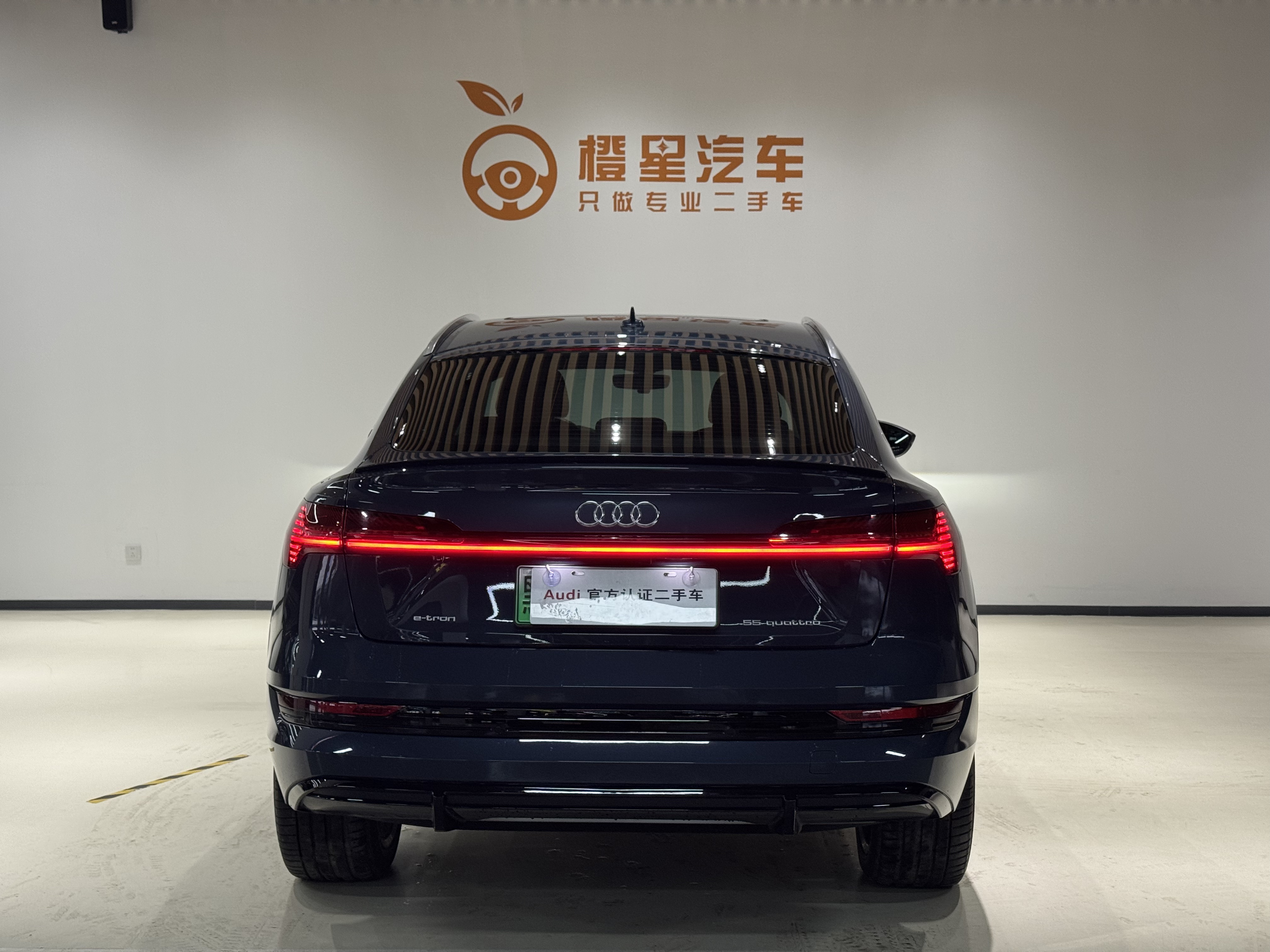 Audi e-tron (Imported) 2022 car image #6