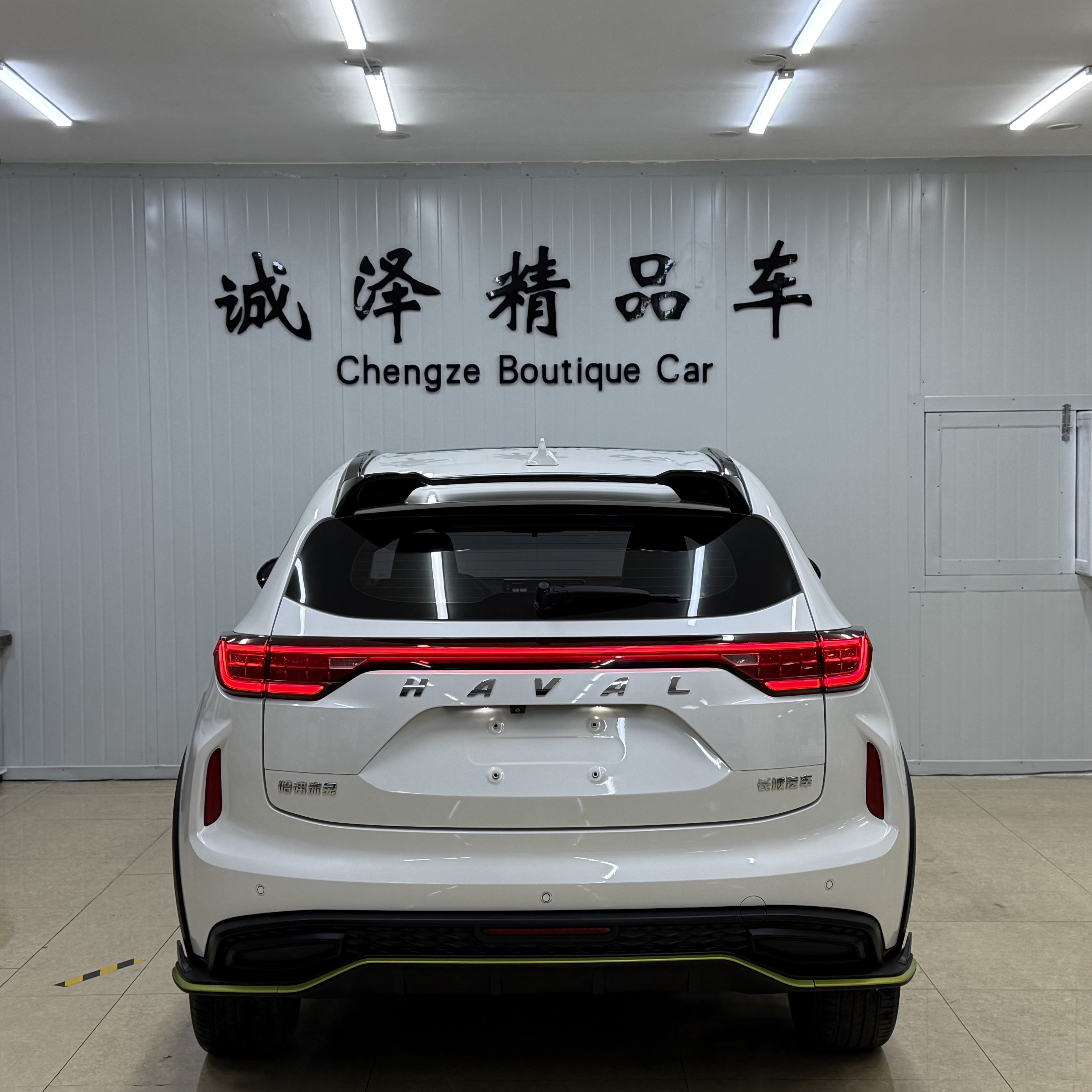 Haval Rabbit 2021 car image #6