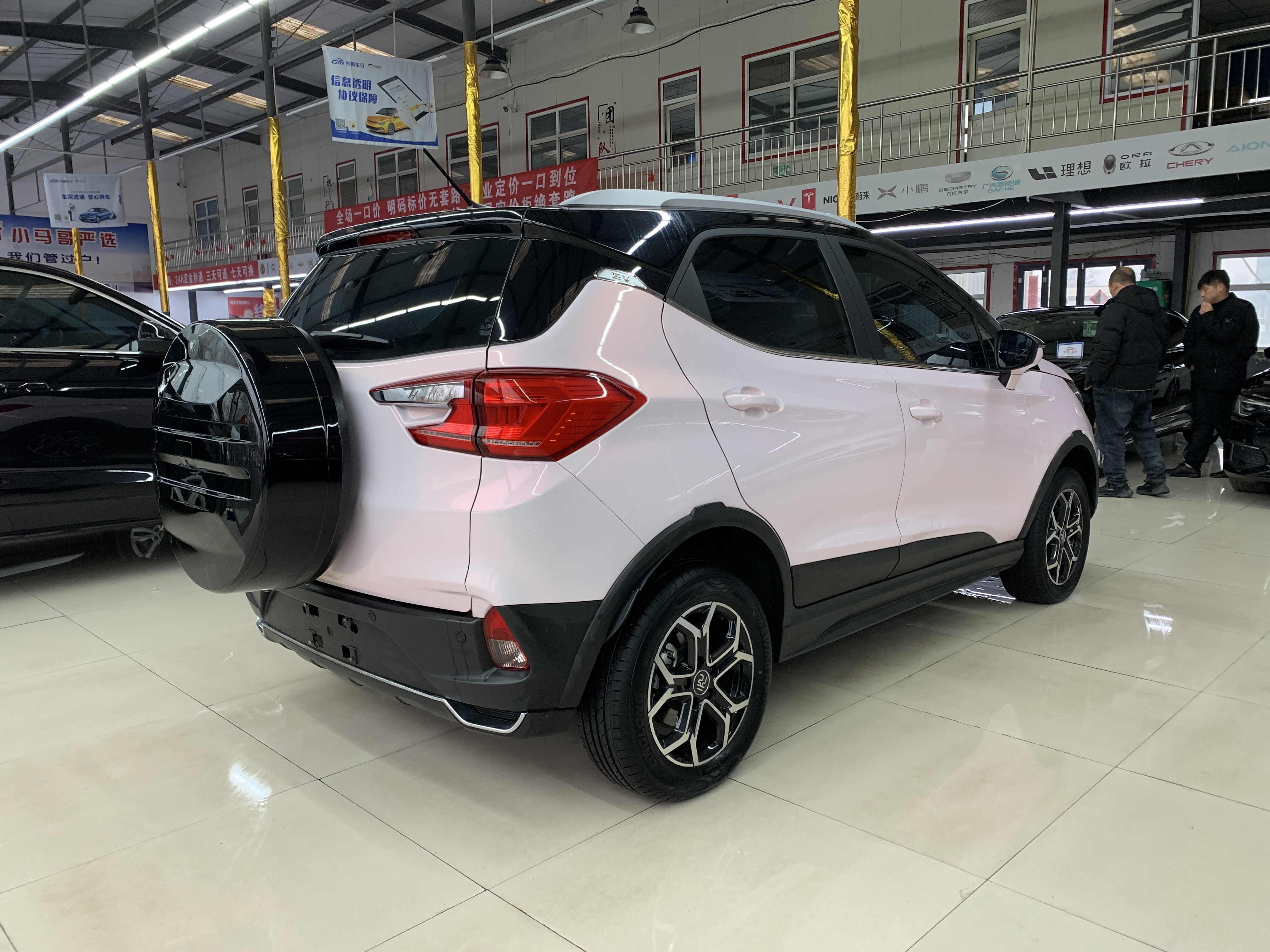 BYD Yuan Pro 2021 immagine di auto #6