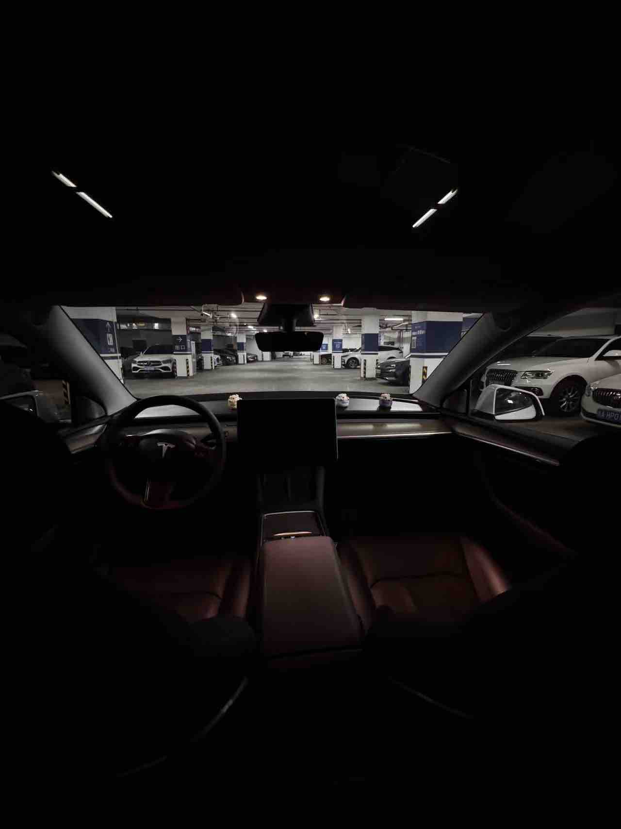 Tesla Model Y 2021 #6 Tesla Model Y 2021 car image #6