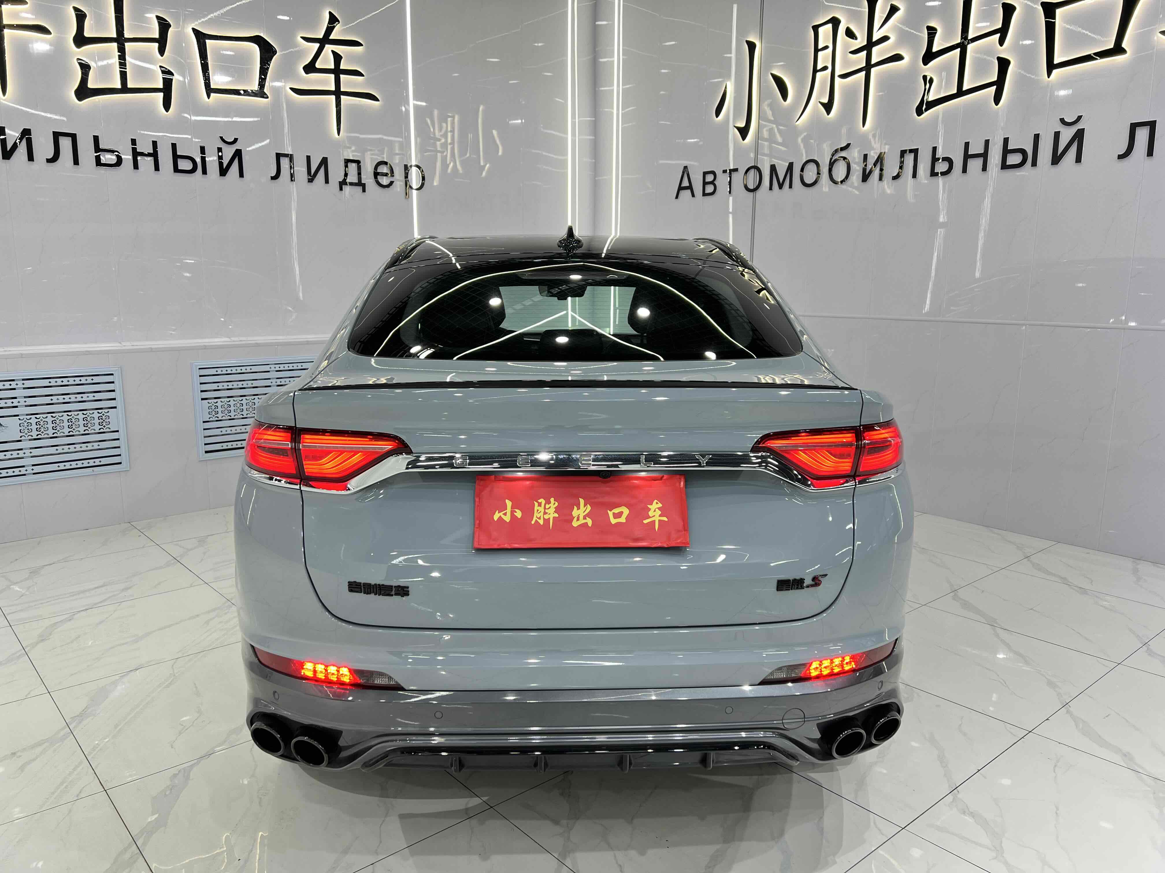 GEELY Tugella S 2021 car image #6