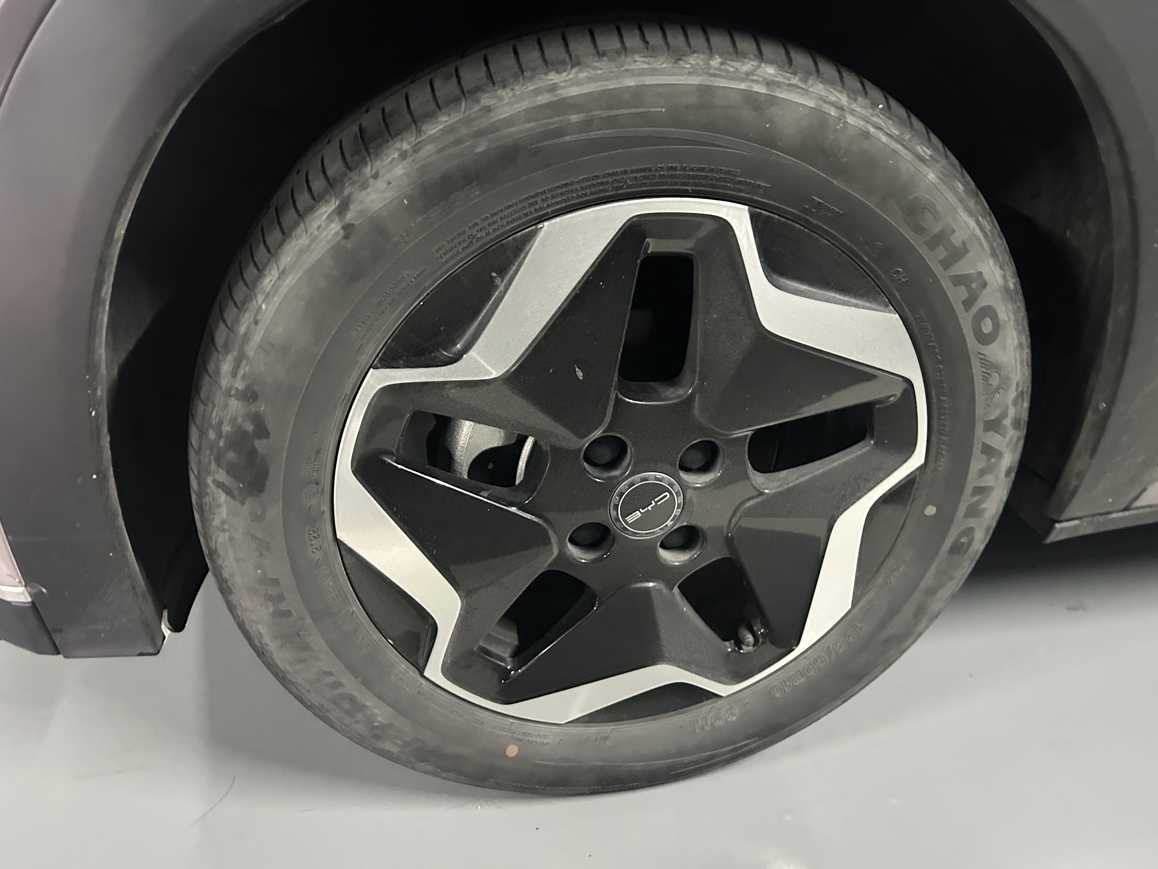 BYD Dolphin 2022 car image #6