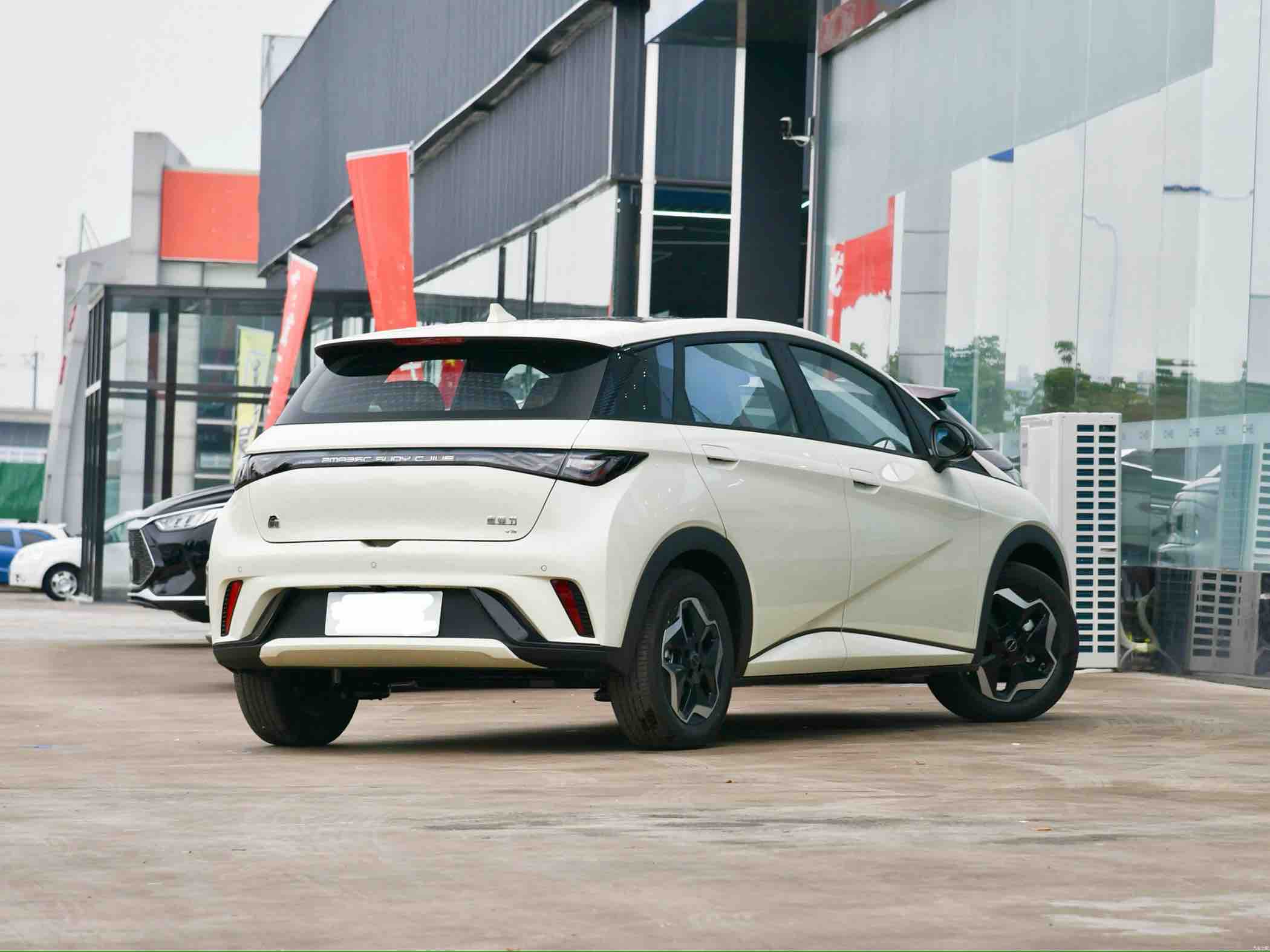 比亚迪 海豚 2023 汽车图片 #6