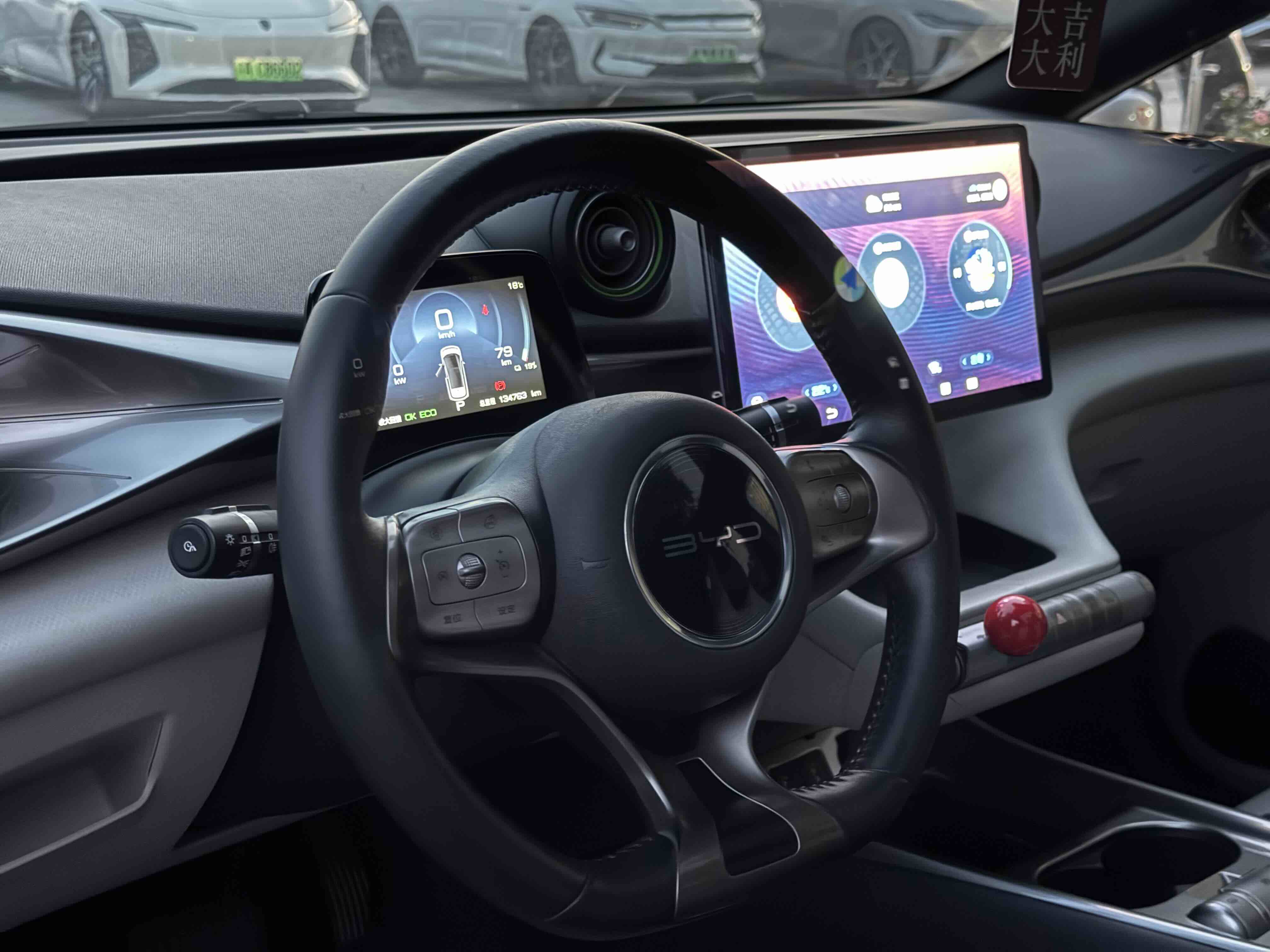 BYD Dolphin 2022 imagen de coche #6