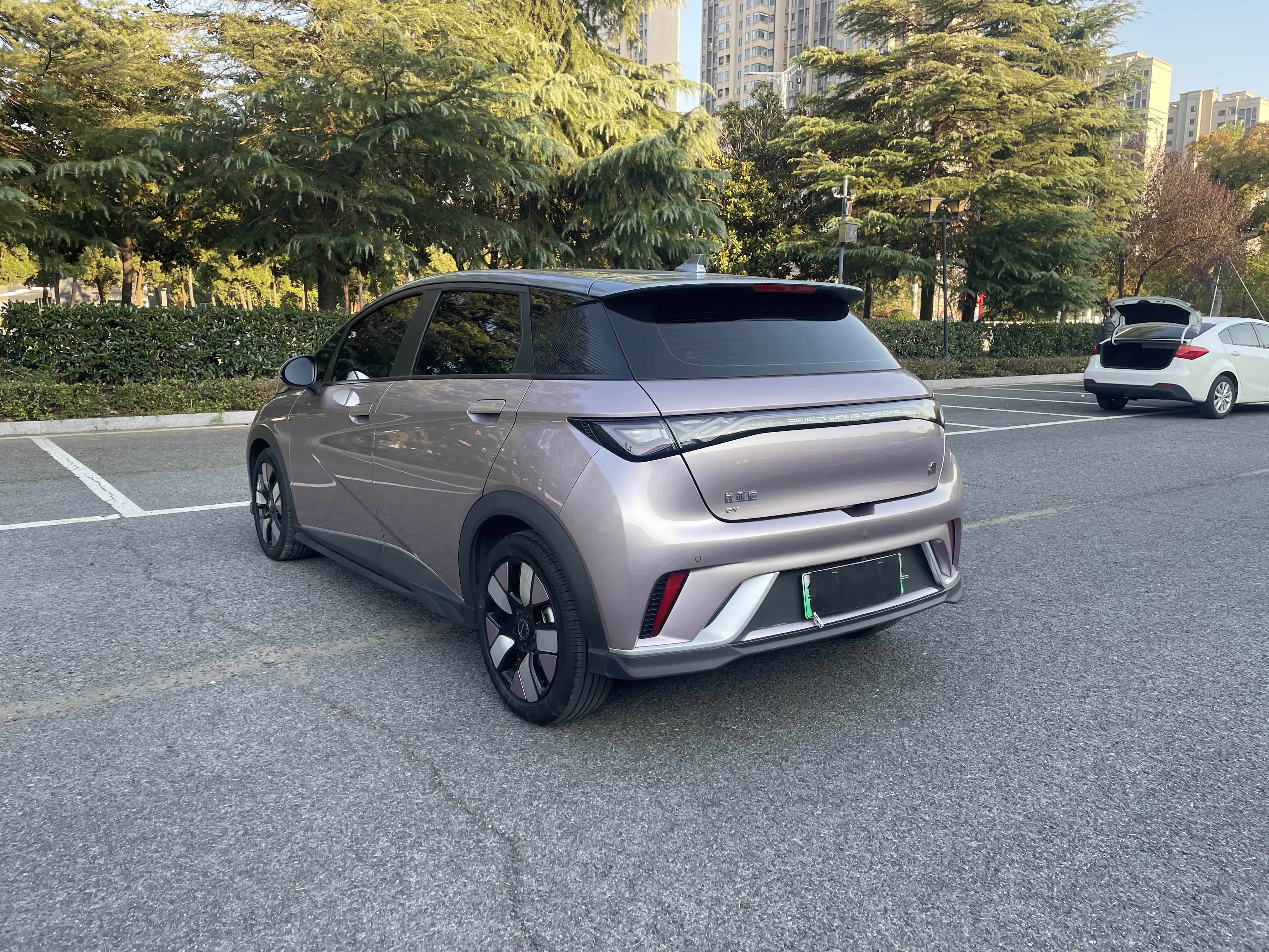 BYD Dolphin 2023 صورة سيارة #6