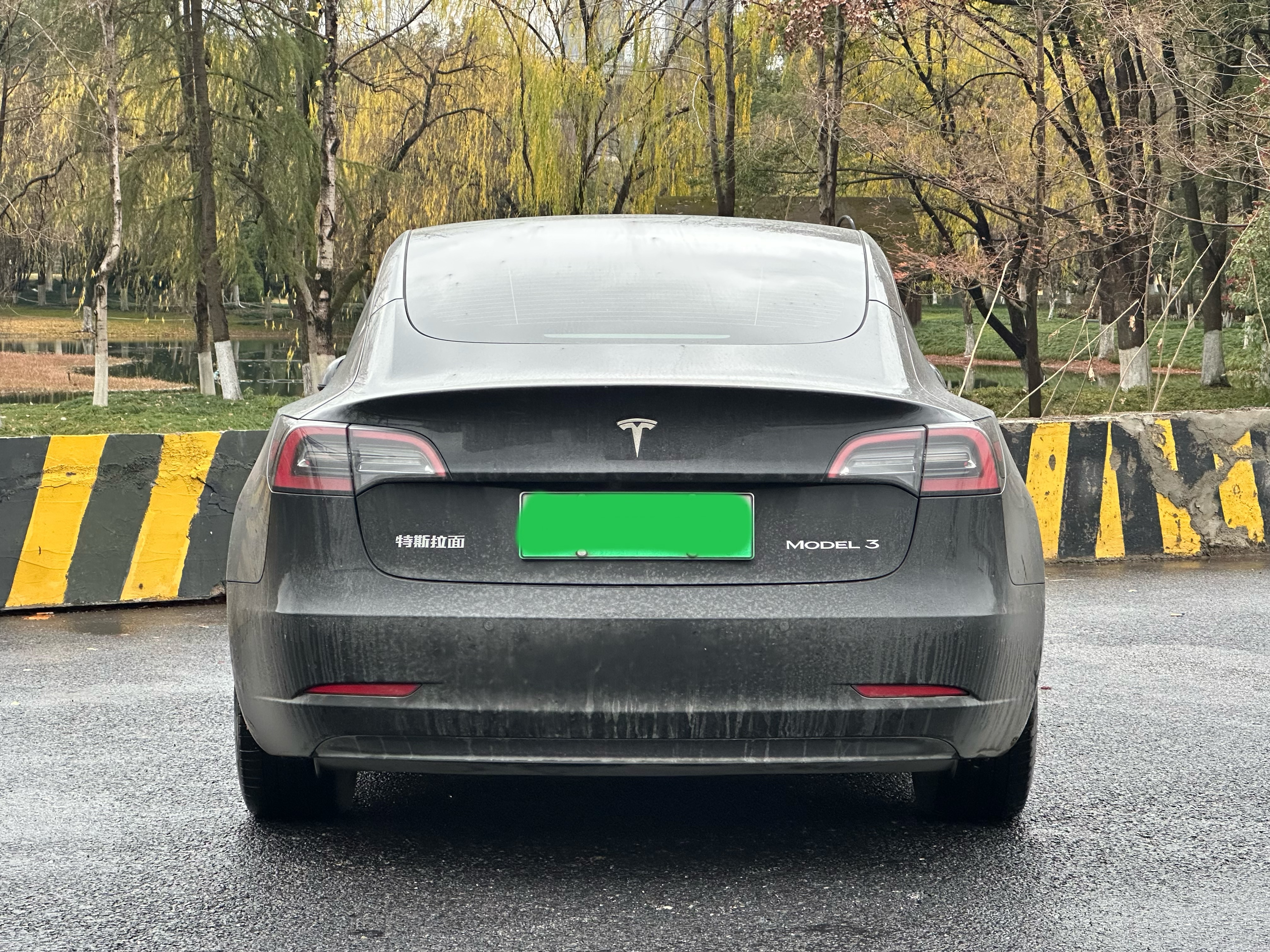 Tesla Model 3 2022 #6 Tesla Model 3 2022 car image #6