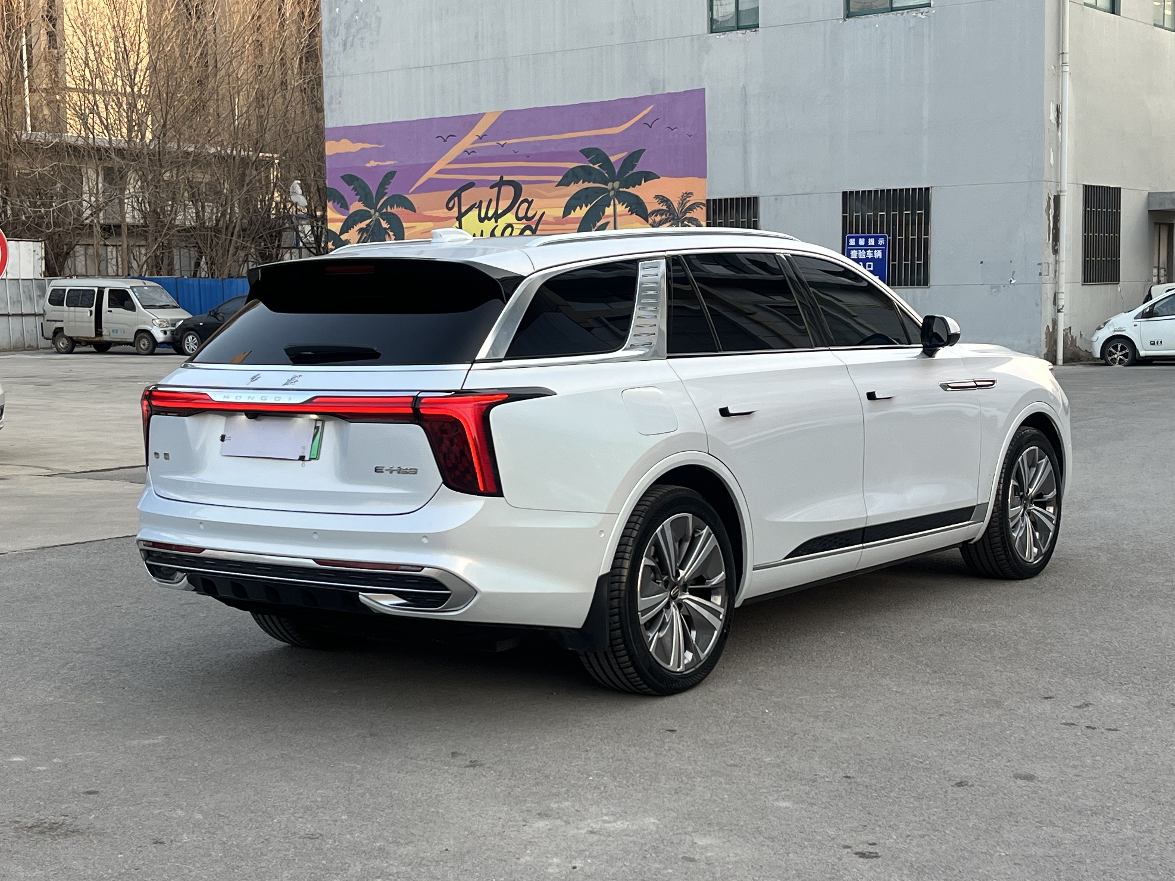 HongQi E-HS9 2023 car image #6