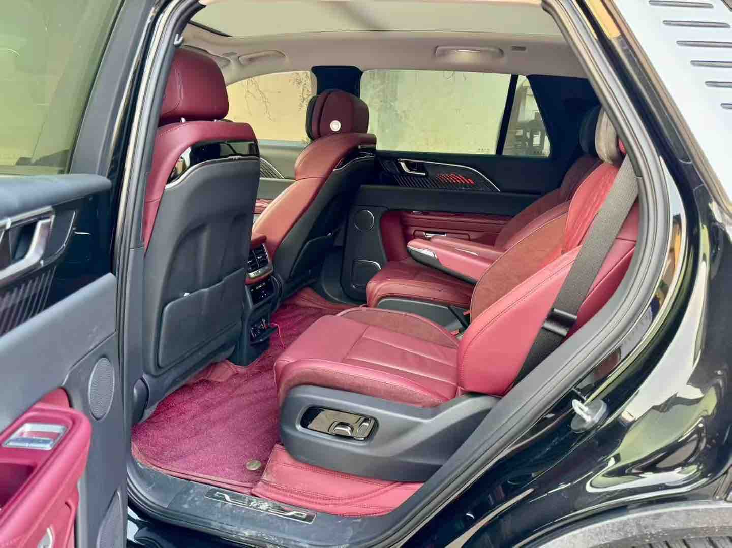 HongQi E-HS9 2023 immagine di auto #6