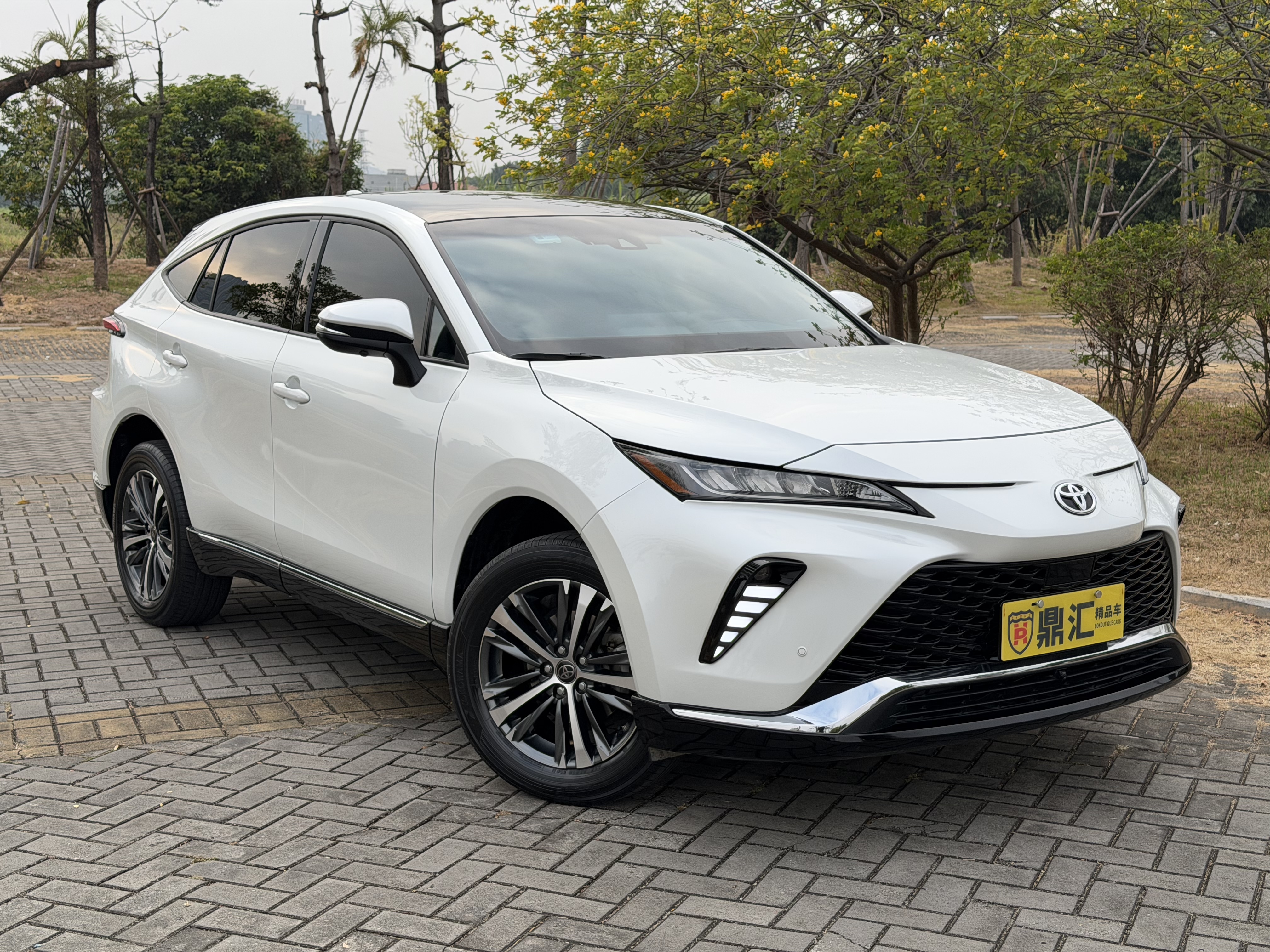 Toyota Venza 2023 immagine di auto #6