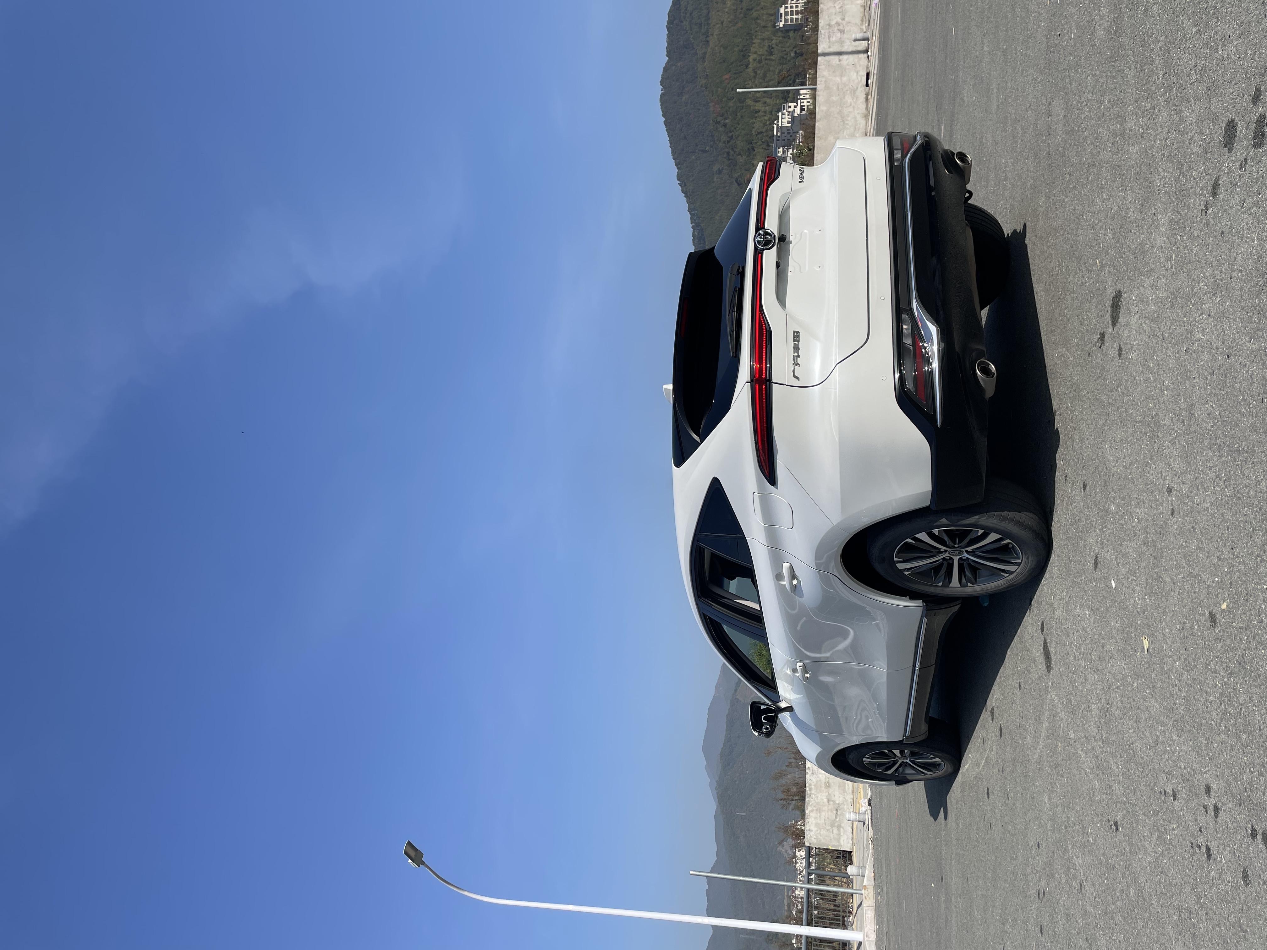 Toyota Venza 2022 immagine di auto #6