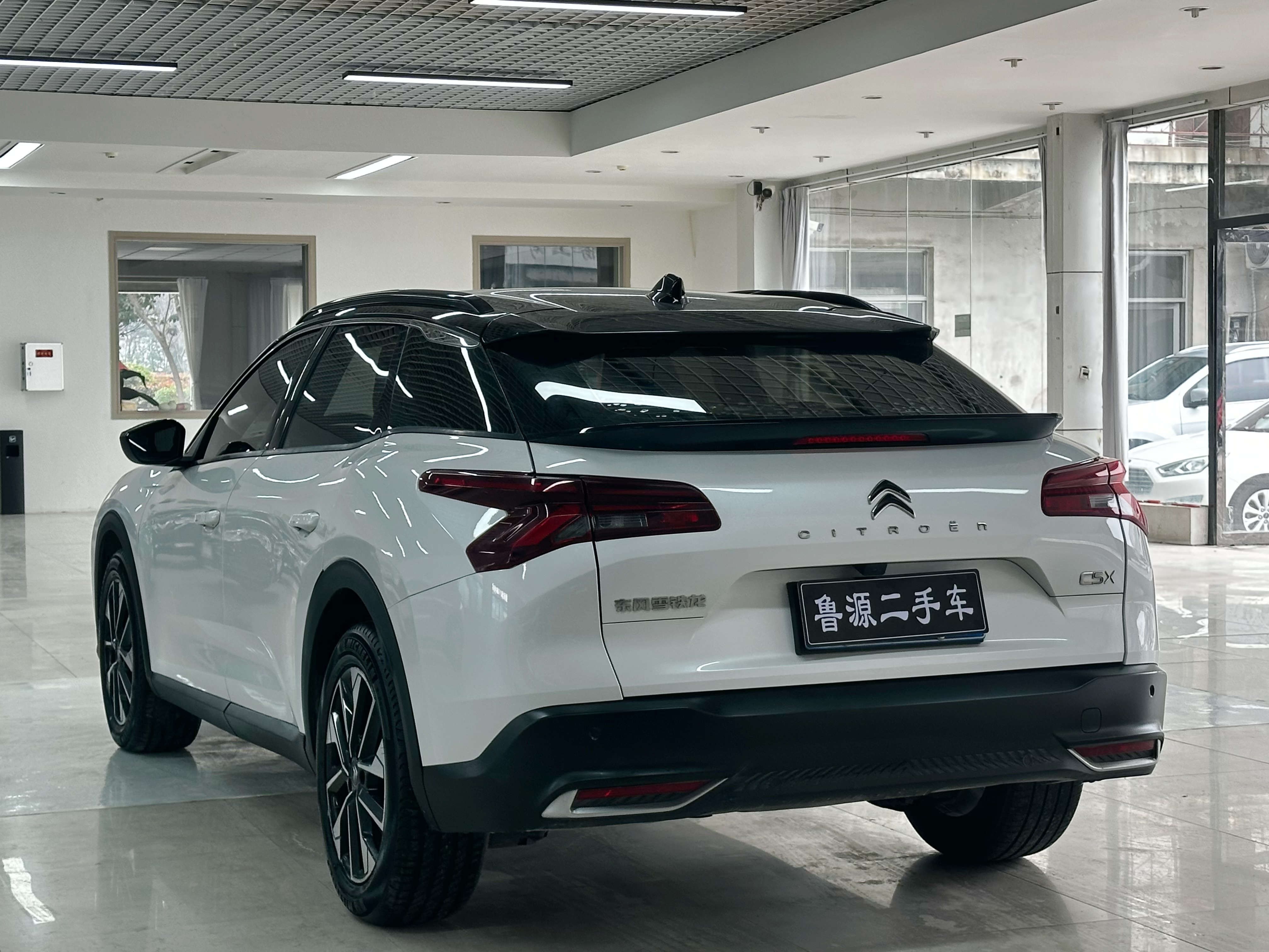 Citroen C5 X 2022 car image #6