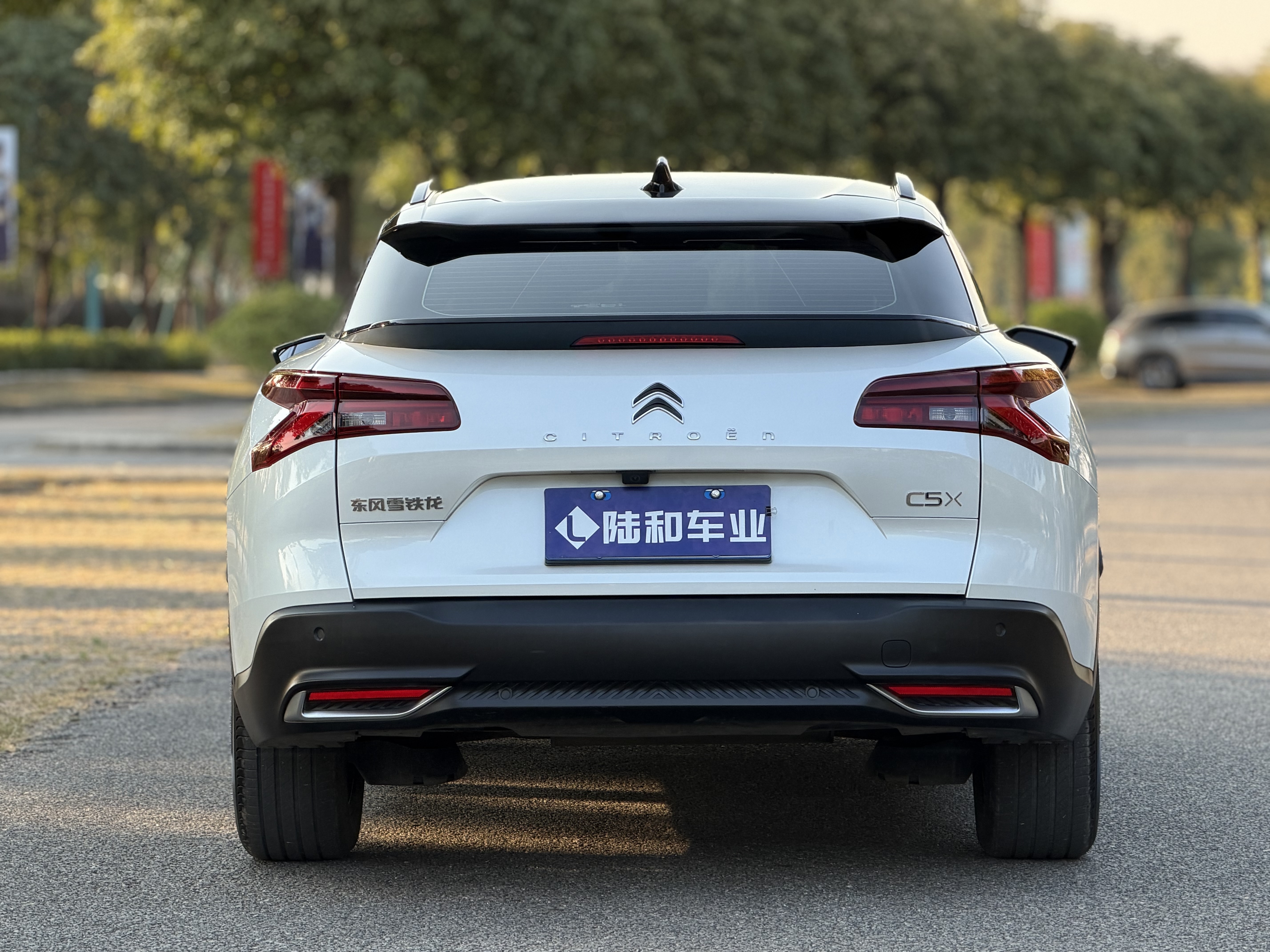 Citroen C5 X 2022 #6 Citroen C5 X 2022 صورة سيارة #6