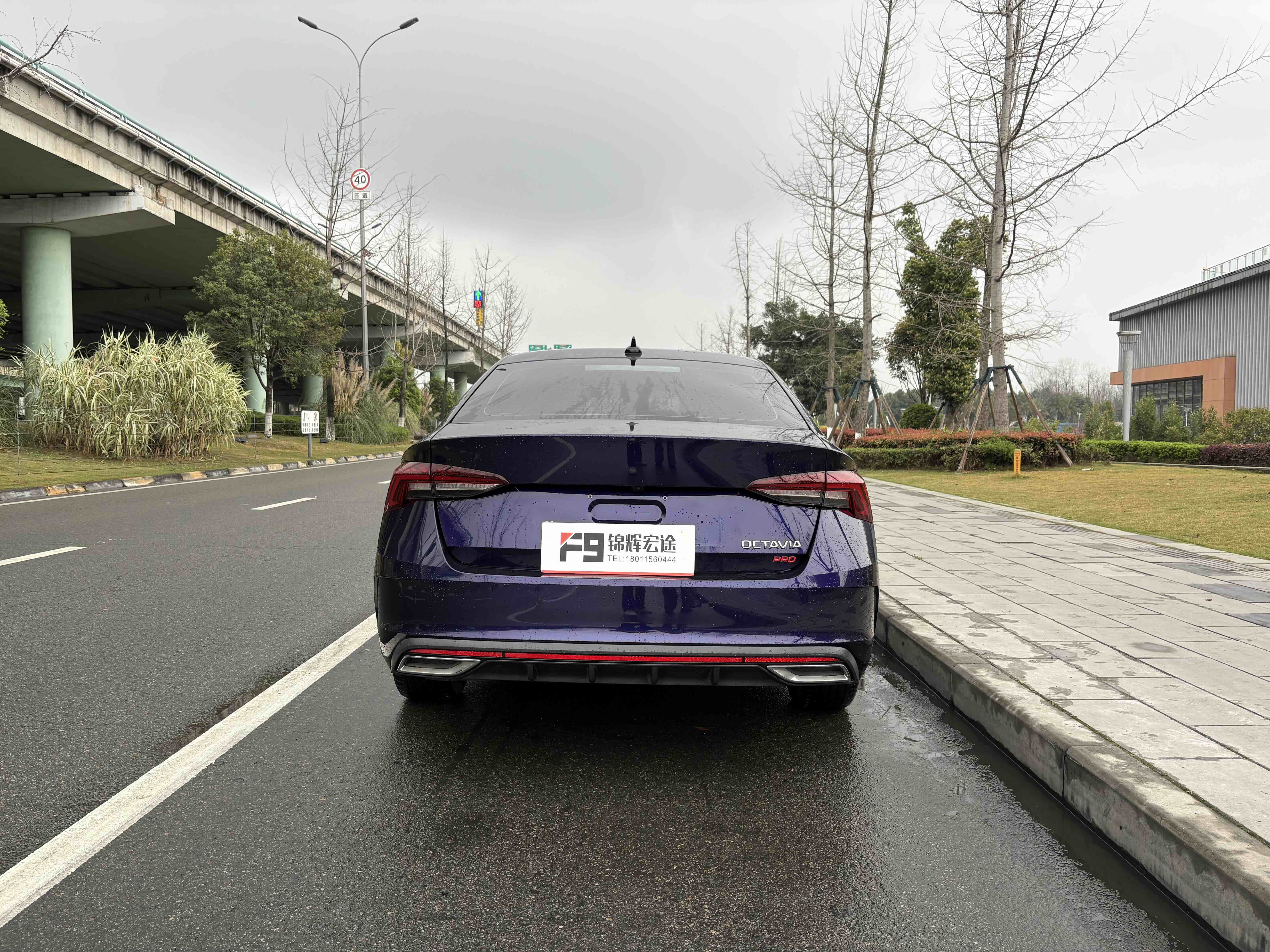 Skoda Octavia 2022 car image #6