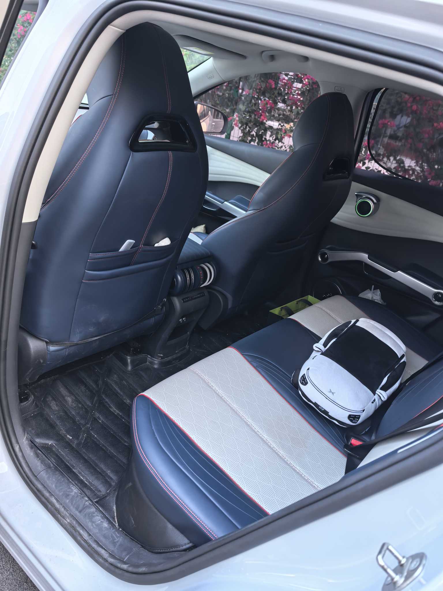 BYD Yuan Plus 2022 car image #6
