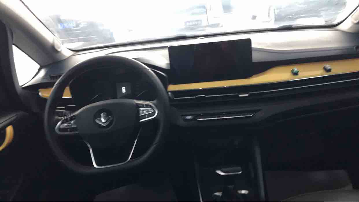 睿蓝汽车 睿蓝汽车X3 PRO 2023 汽车图片 #6