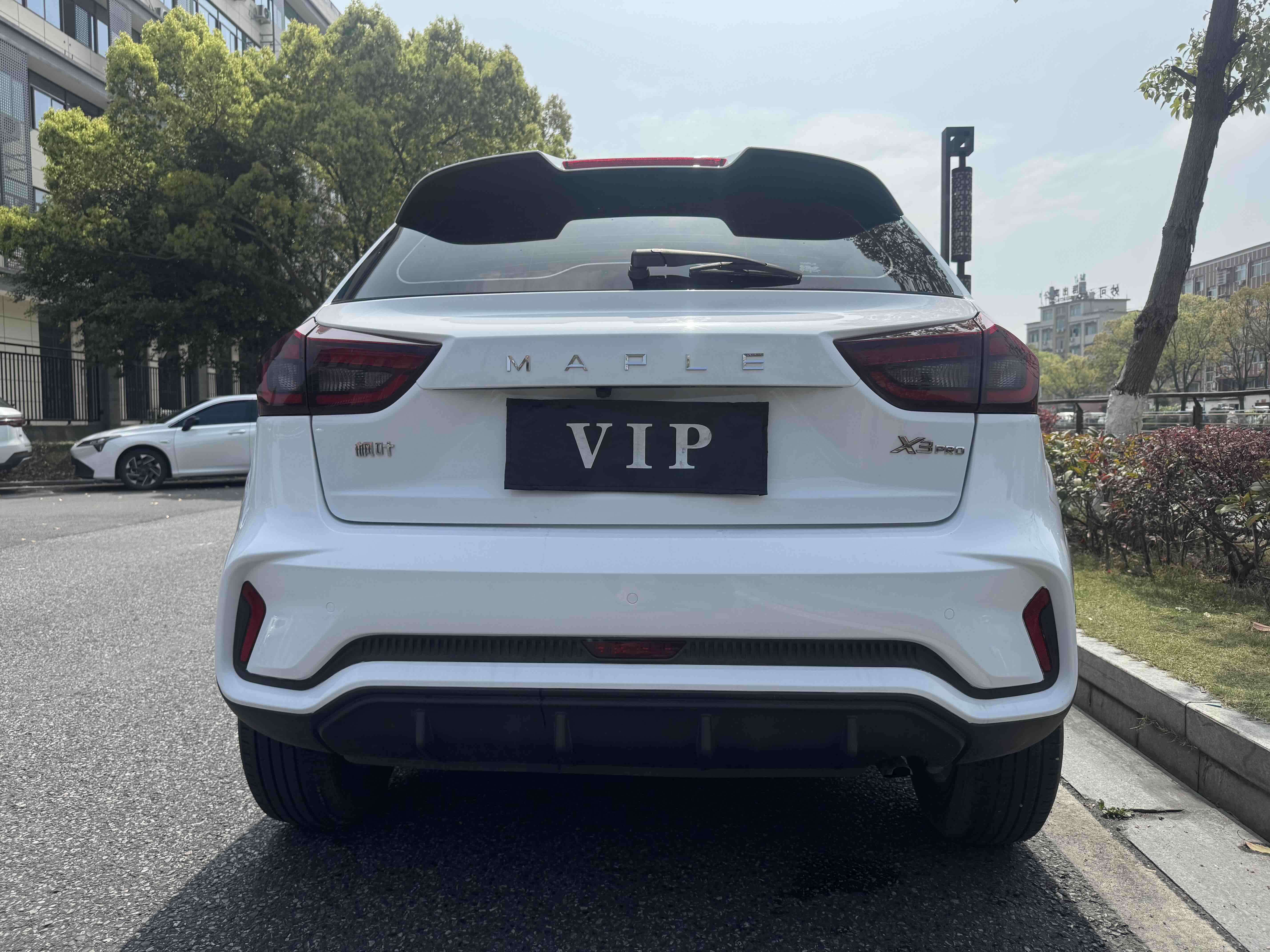 睿蓝汽车 睿蓝汽车X3 PRO 2022 汽车图片 #6