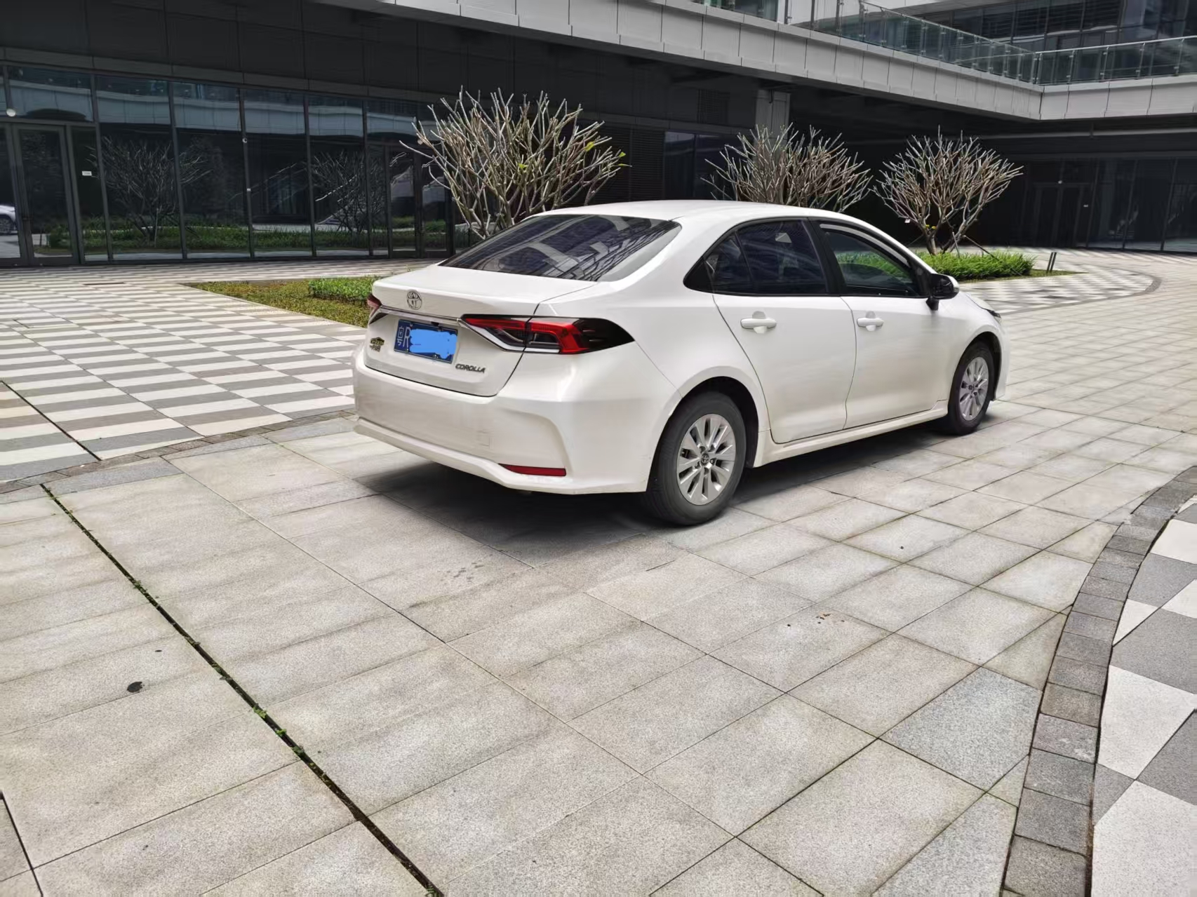 Corolla 2022 car image #6