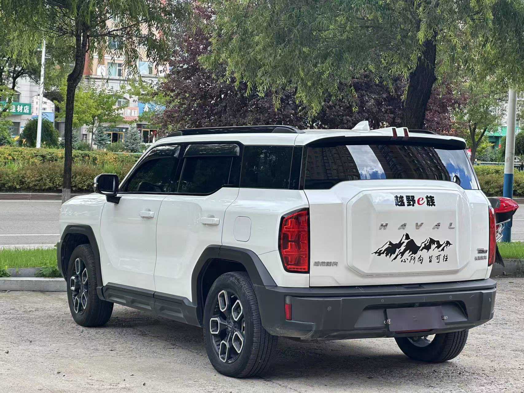 Haval Dargo 2023 immagine di auto #6