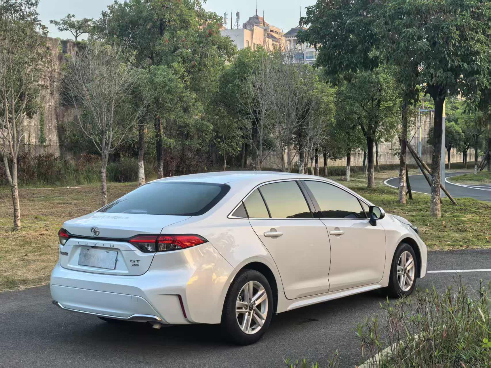 Toyota Lingshang 2024 immagine di auto #6