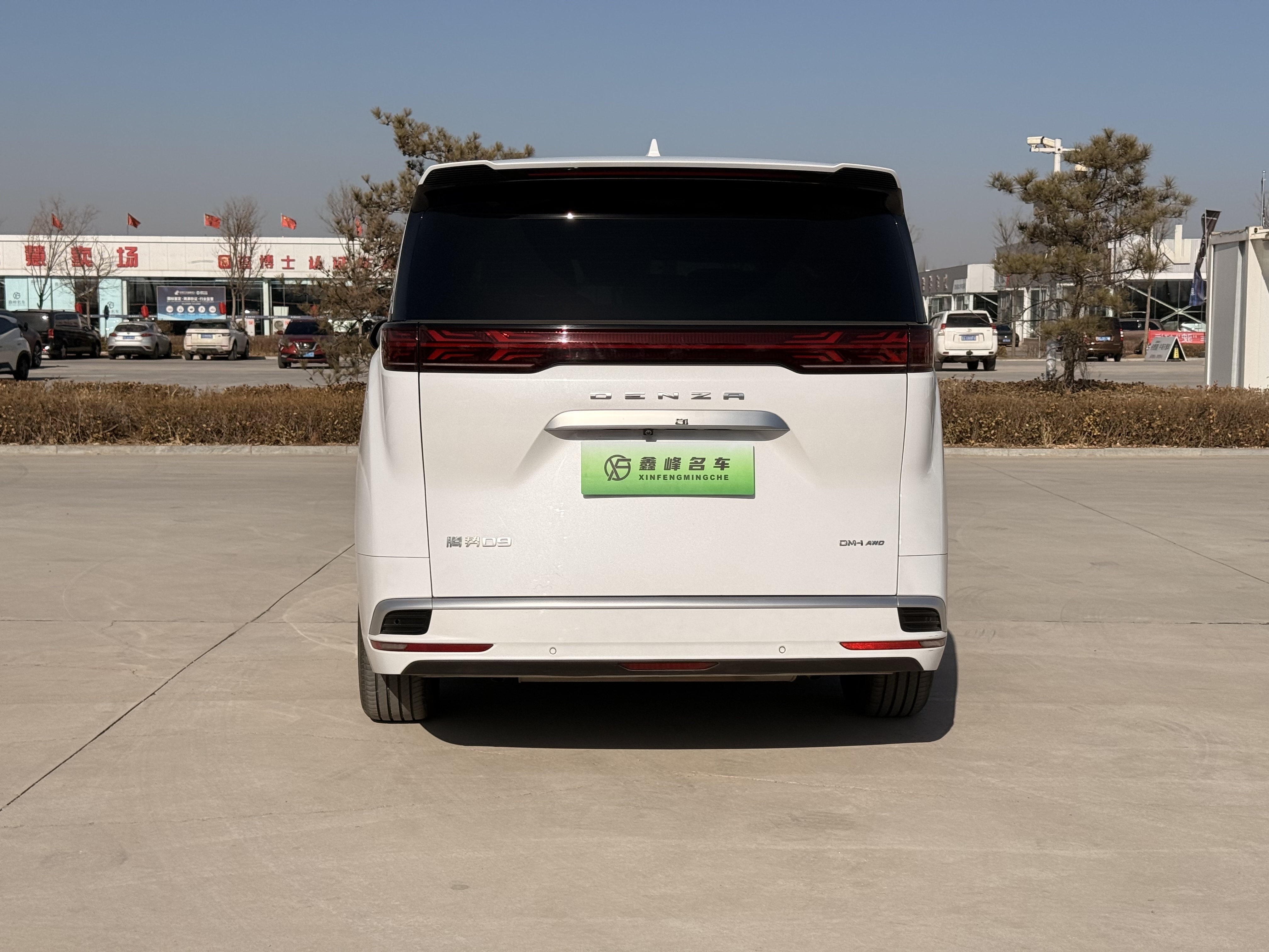 Denza D9 2024 car image #6