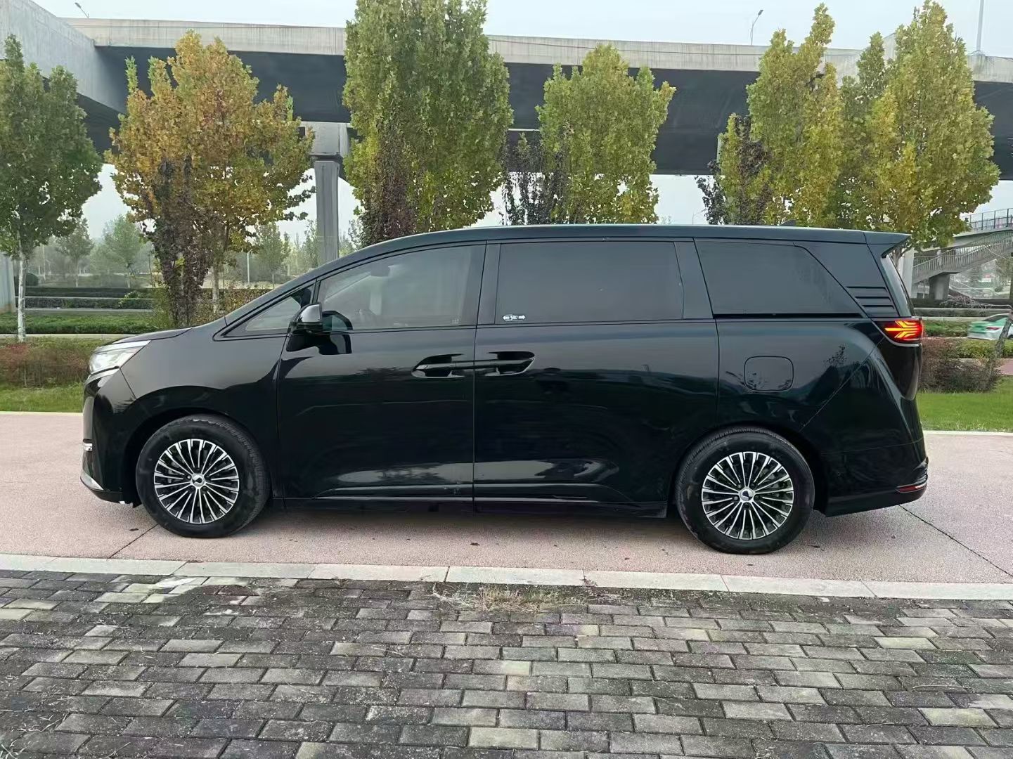 Denza D9 2023 car image #6