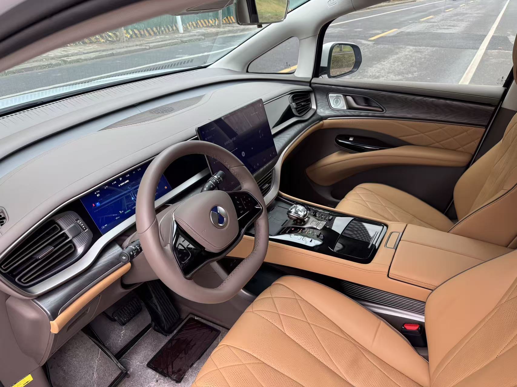 Denza D9 2023 immagine di auto #6