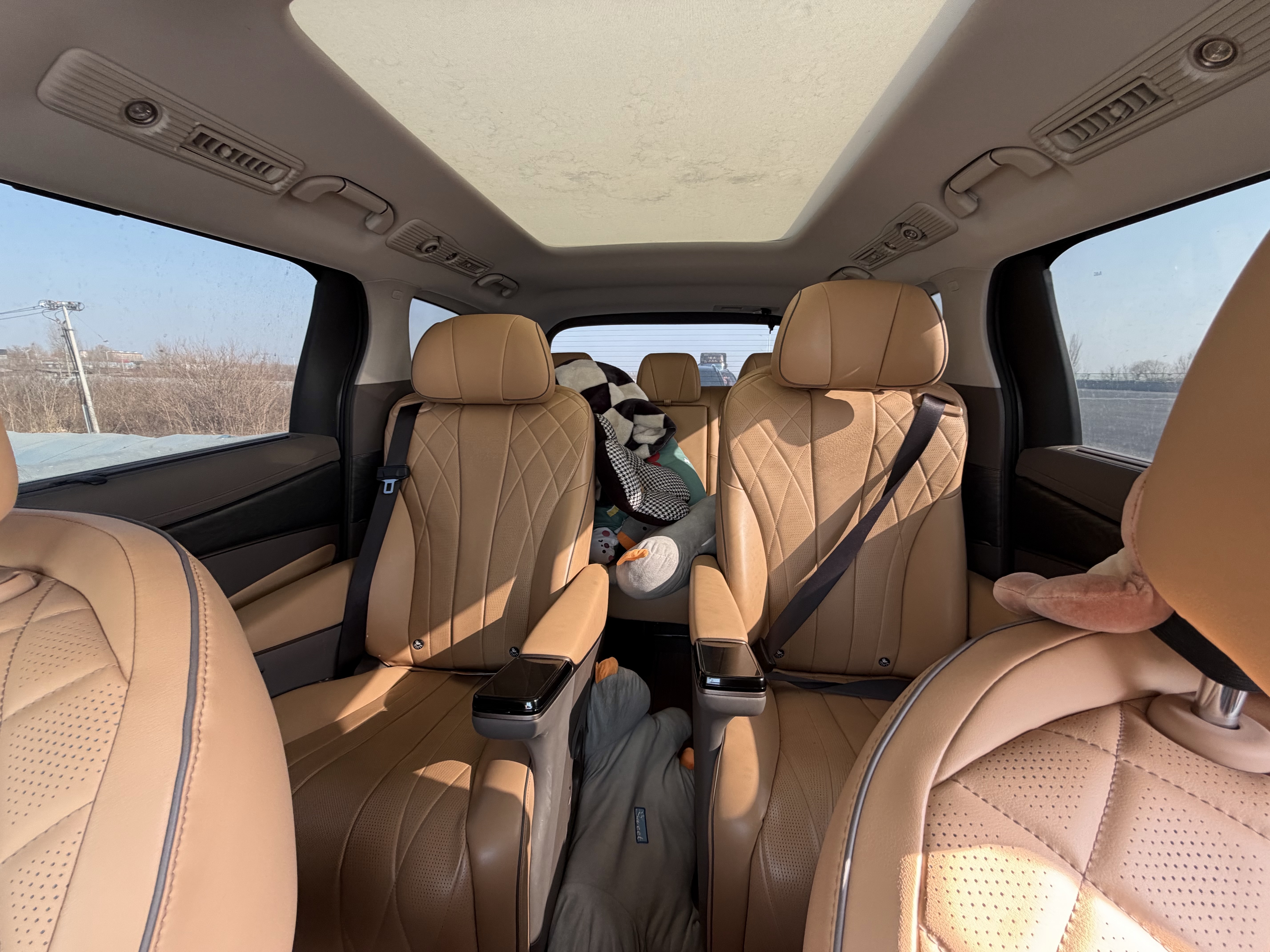 Denza D9 2022 car image #6