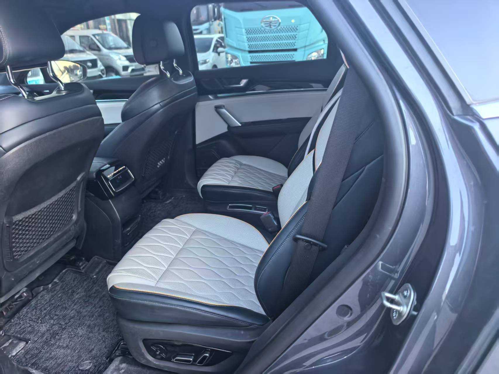 BYD Tang New Energy 2023 car image #6