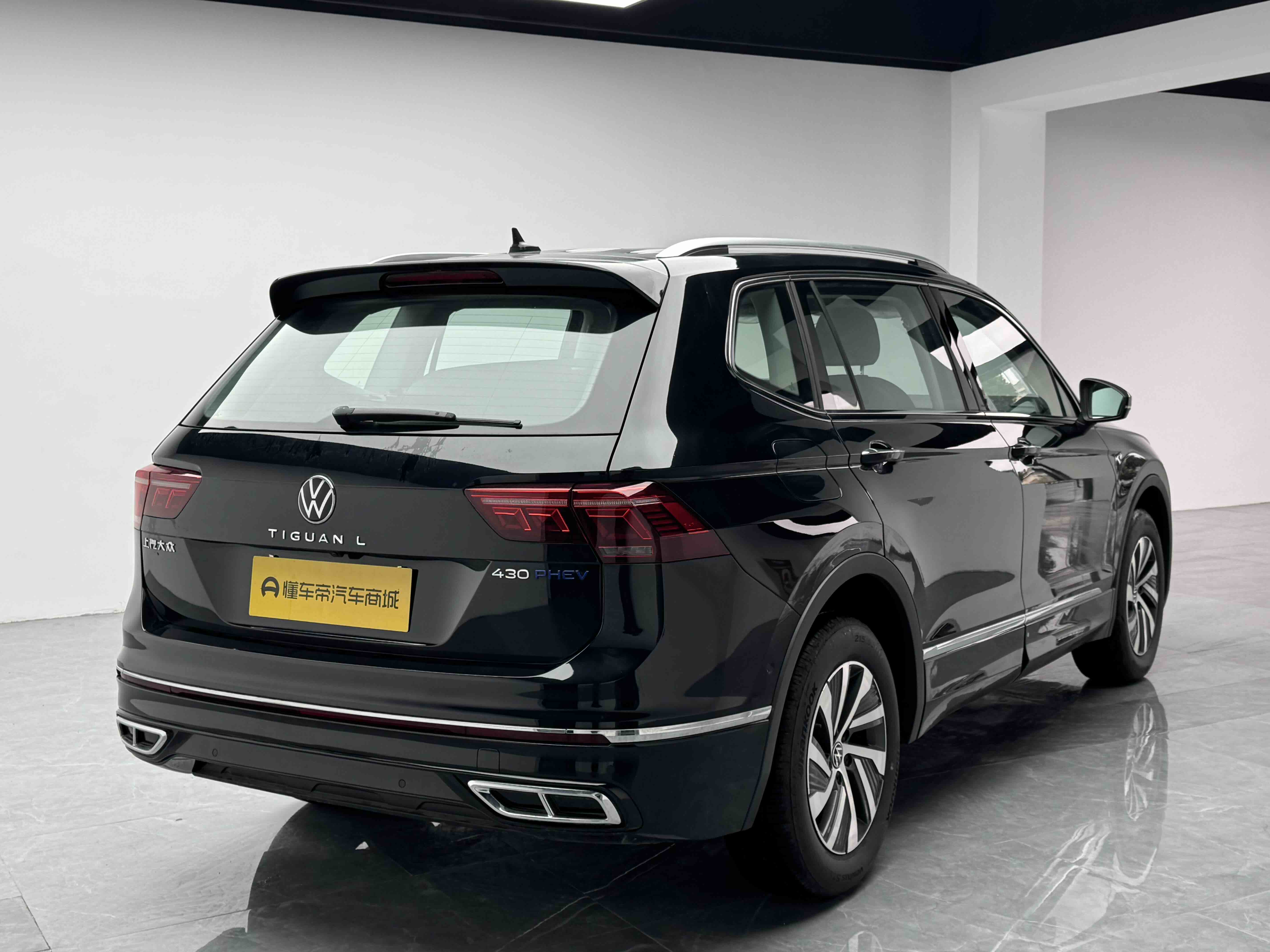 Volkswagen Tiguan L New Energy 2025 car image #6