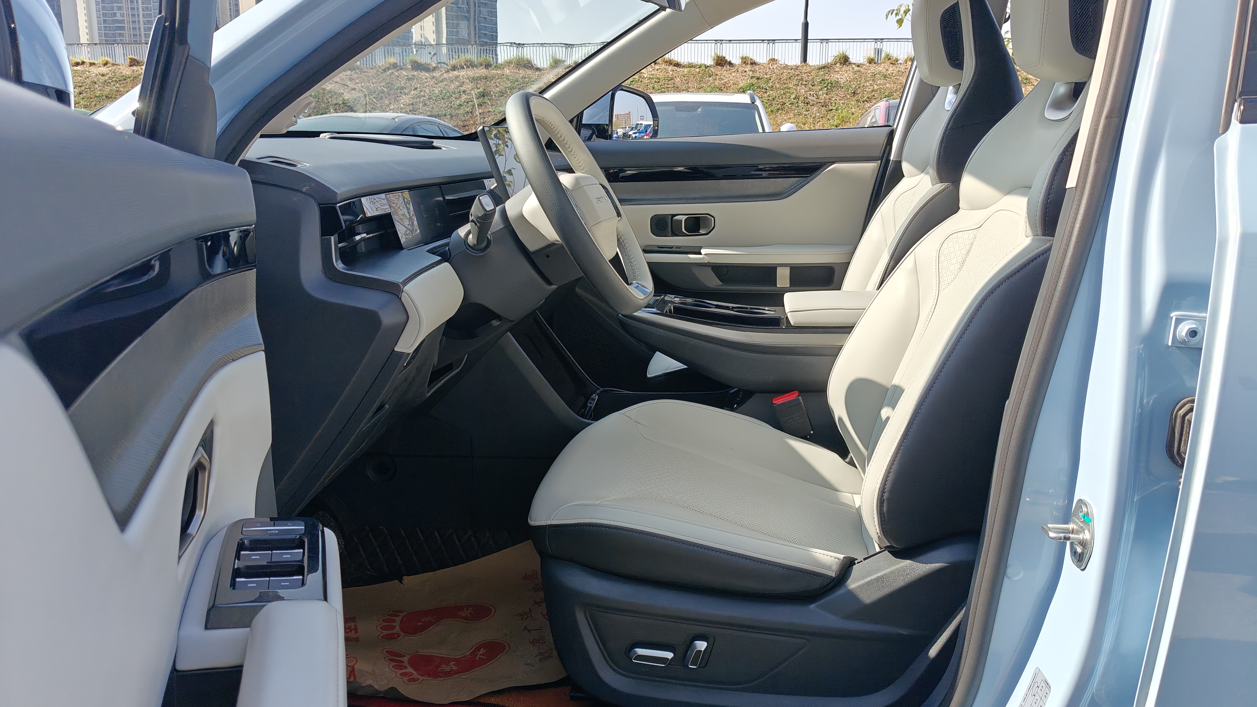 Dashing 2023 car image #6