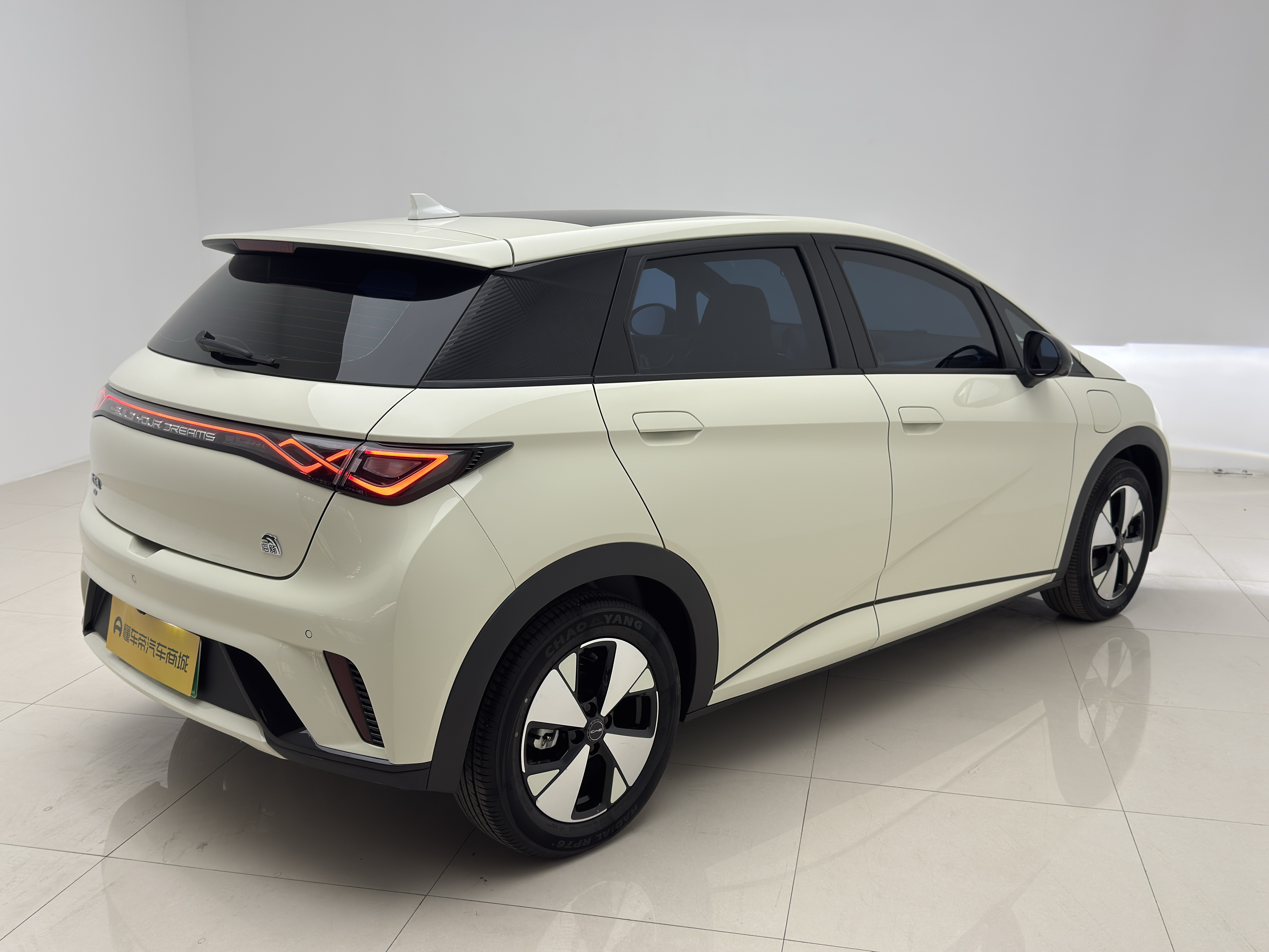 BYD Dolphin 2024 car image #6