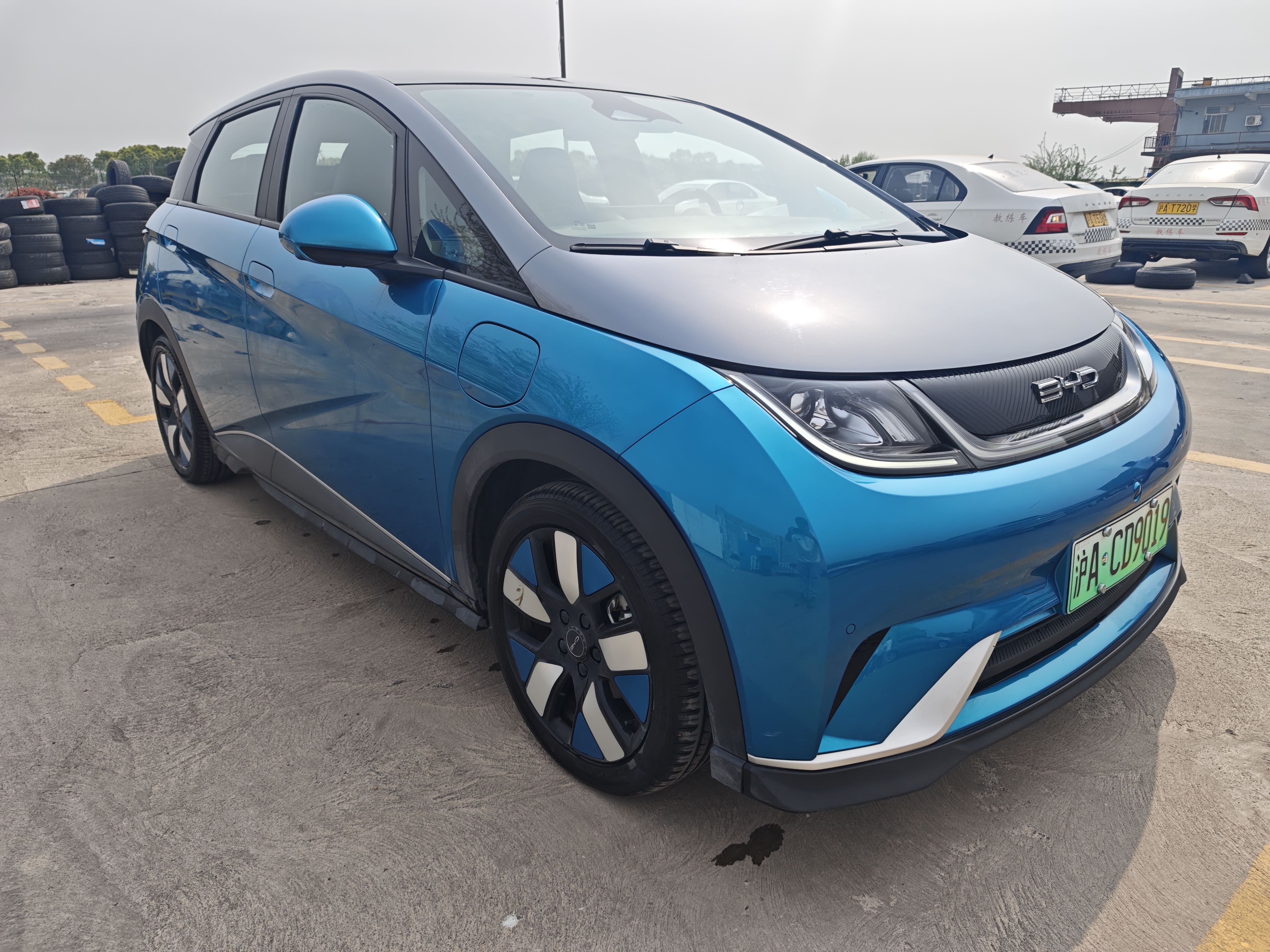 BYD Dolphin 2023 #6 BYD Dolphin 2023 car image #6