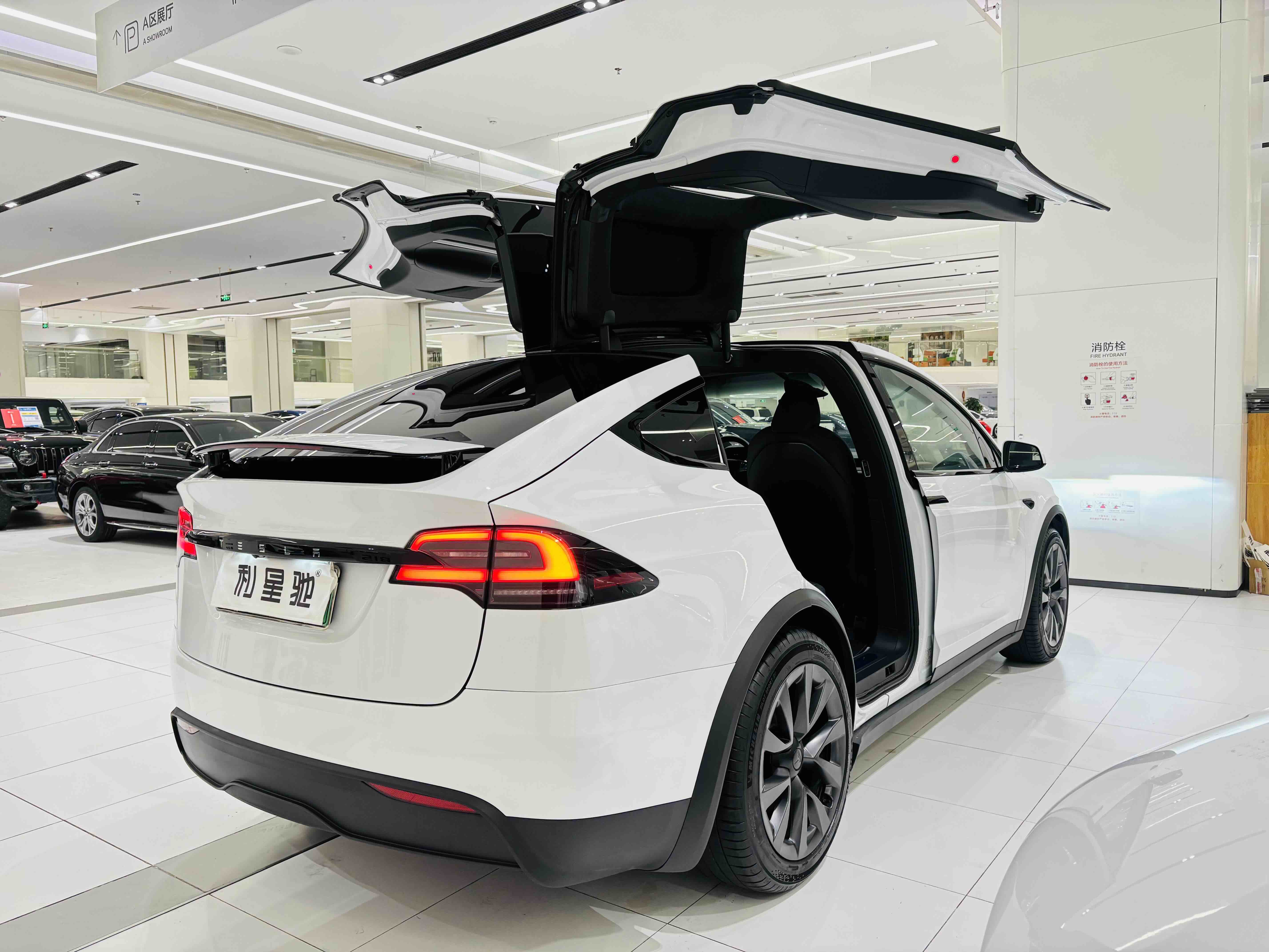 特斯拉 Model X 2024 汽车图片 #6