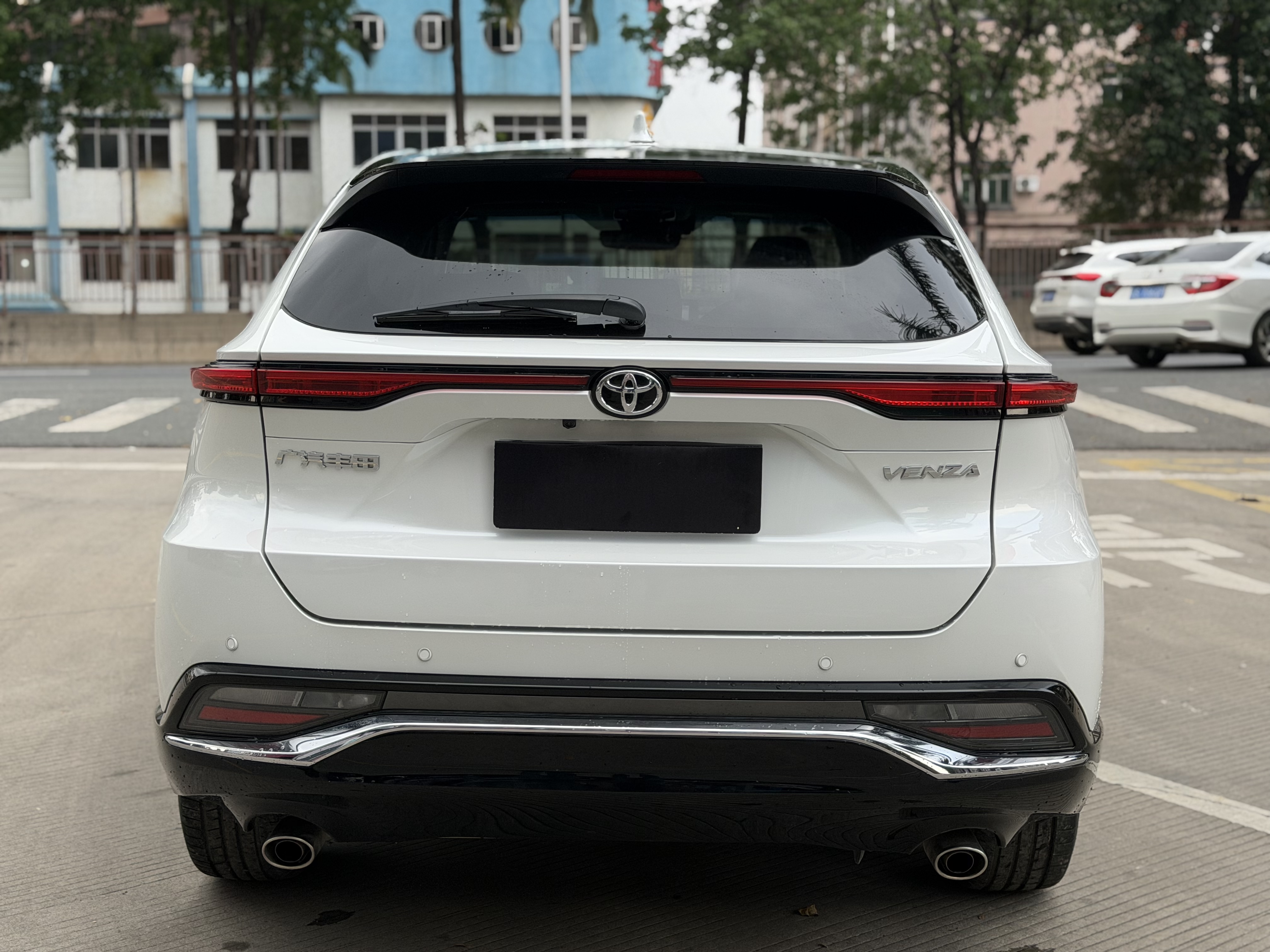 Toyota Venza 2023 car image #6