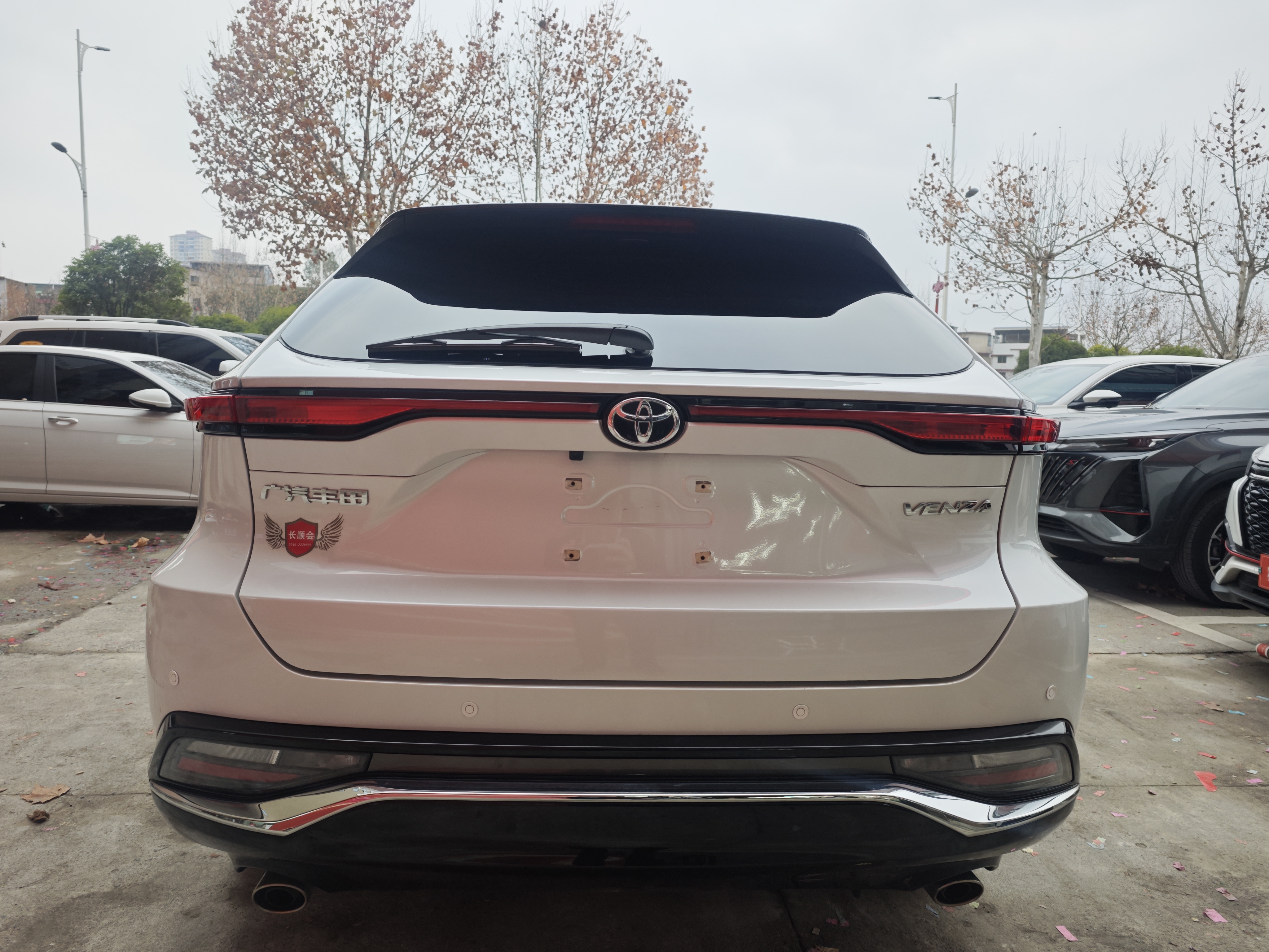 Toyota Venza 2024 immagine di auto #6