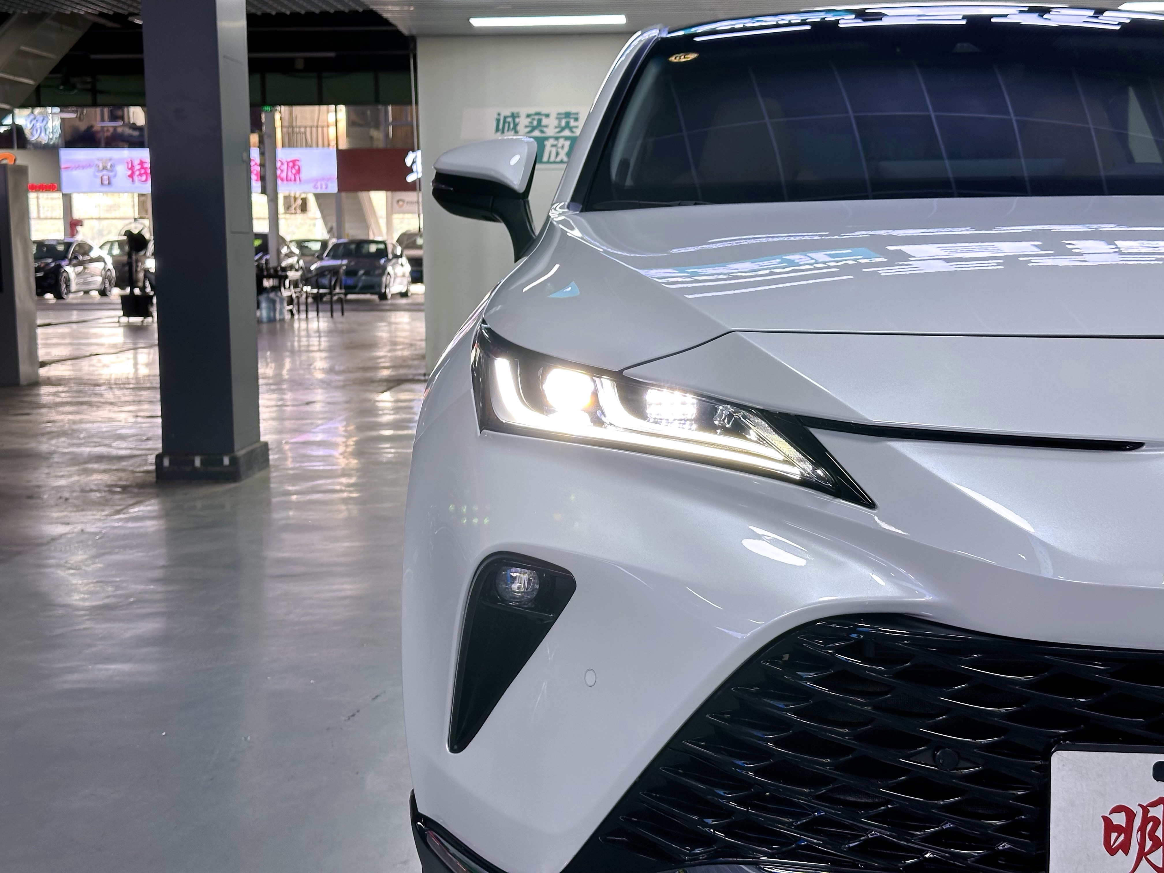 Toyota Venza 2024 car image #6