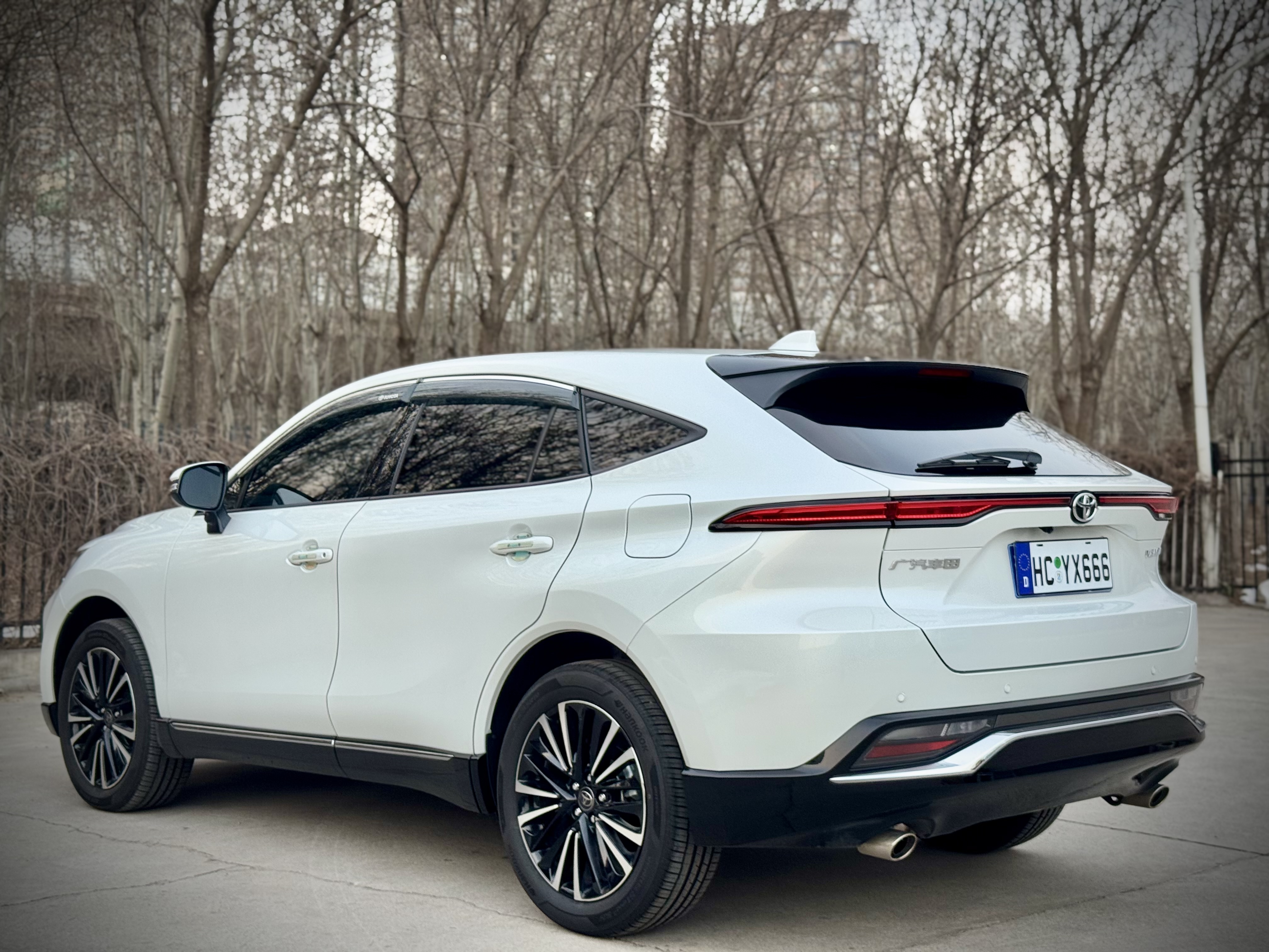 Toyota Venza 2023 car image #6