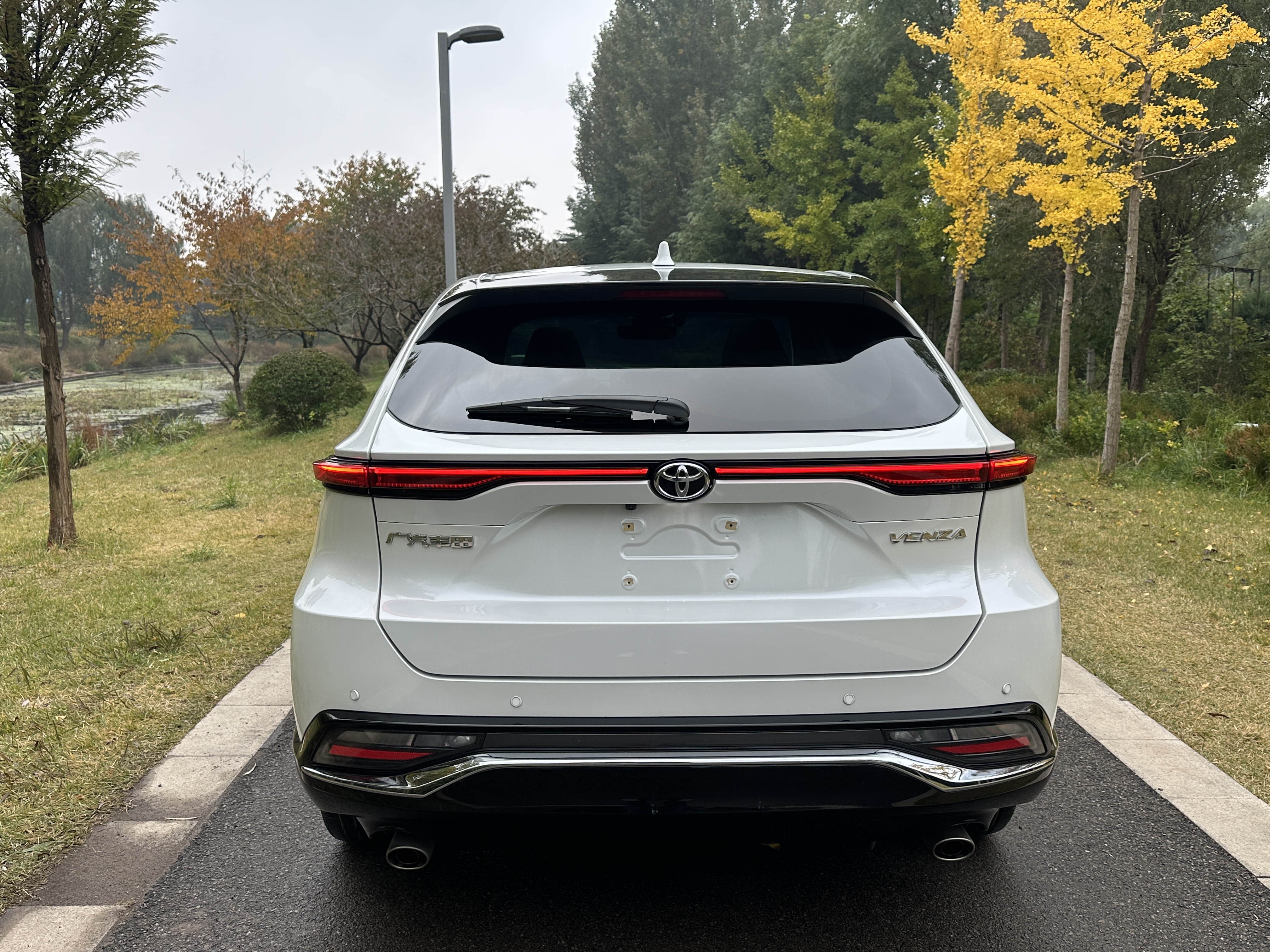 Toyota Venza 2023 immagine di auto #6