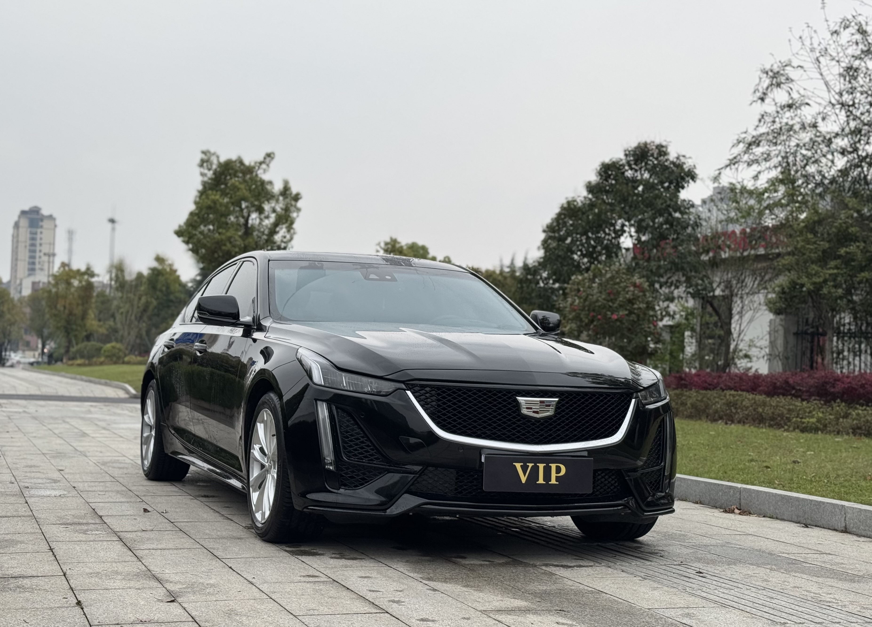 2023 car image #6