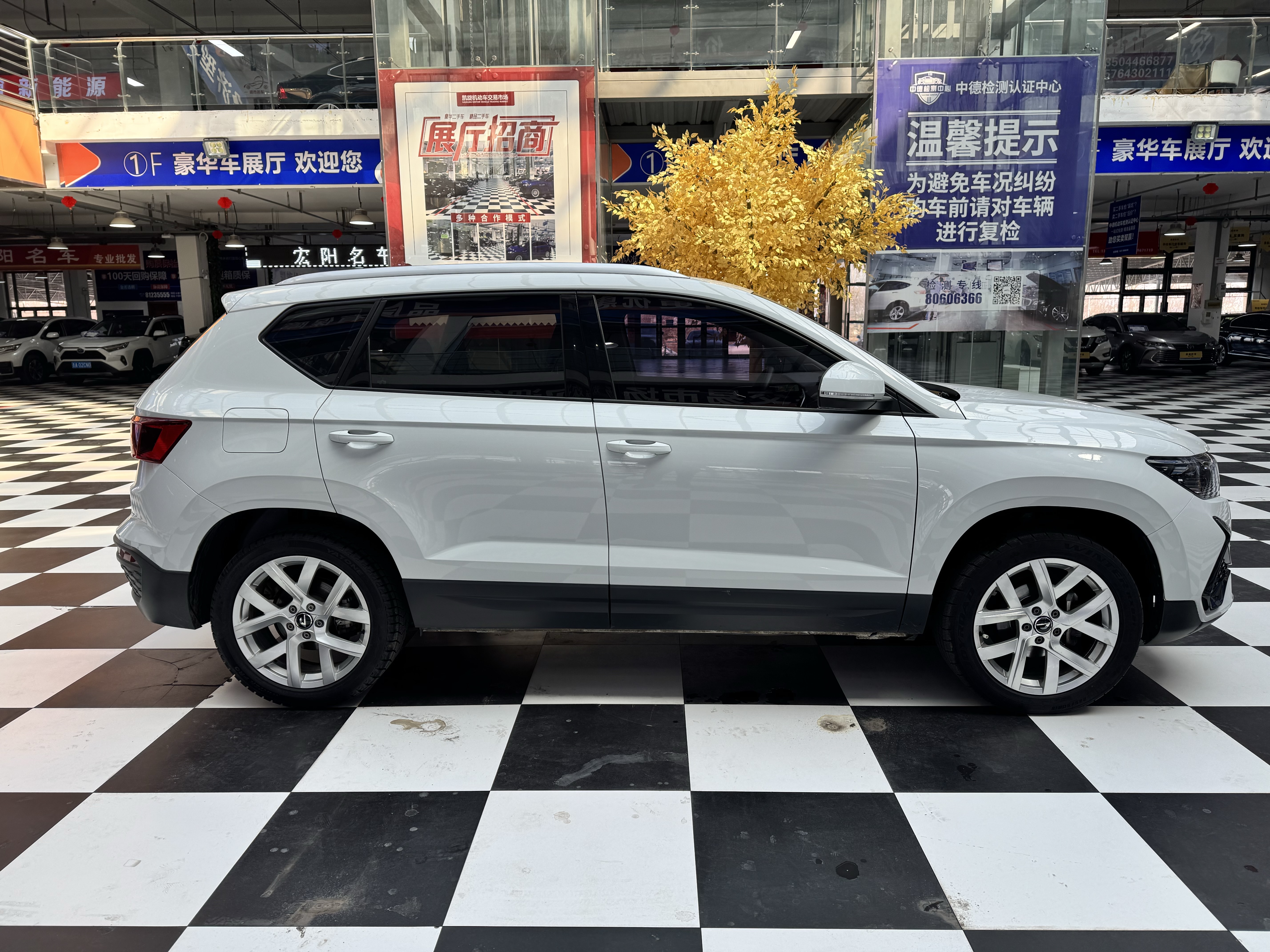 VS5 2023 car image #6