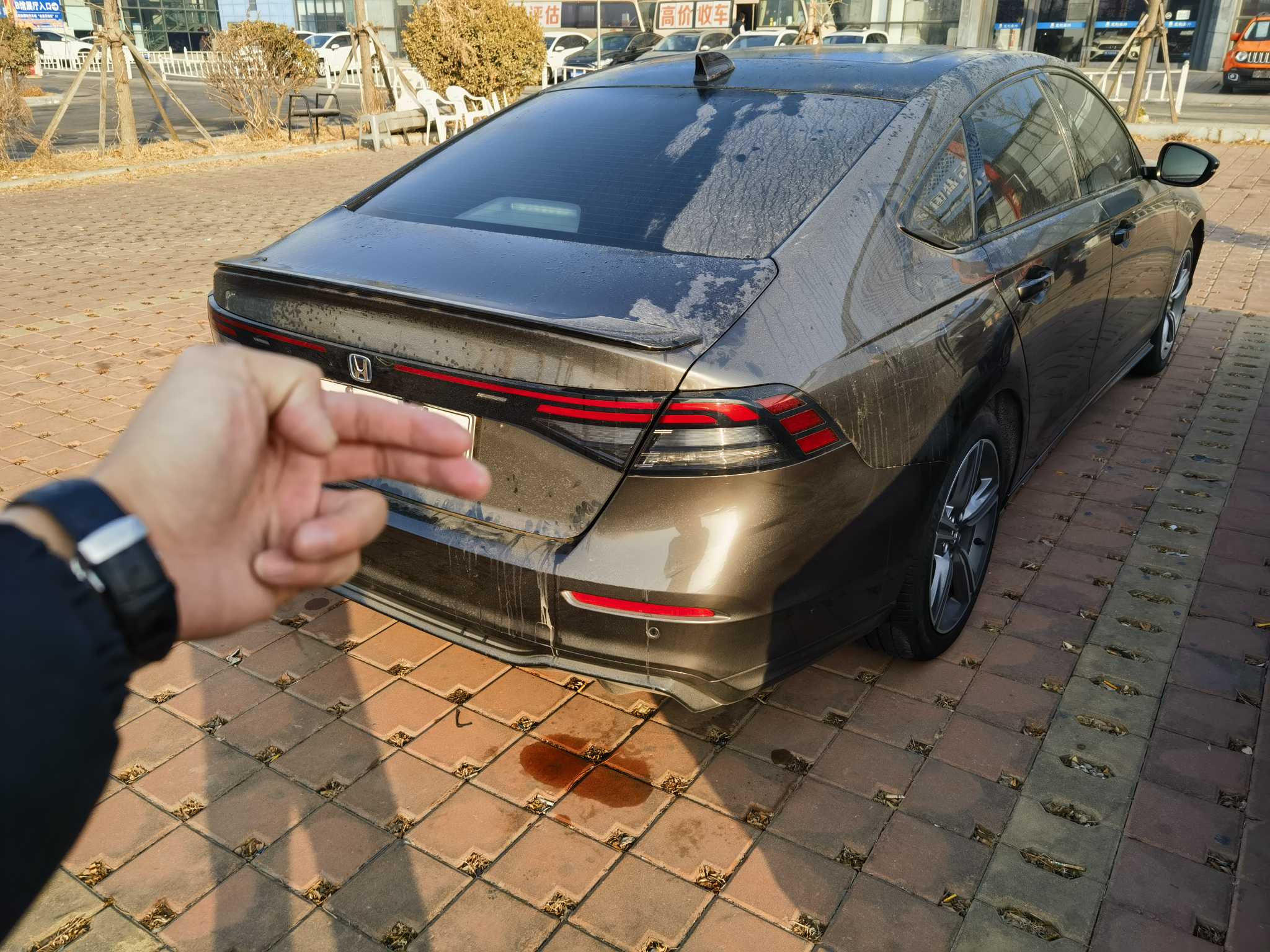 Honda Accord New Energy 2023 #6 Honda Accord New Energy 2023 car image #6