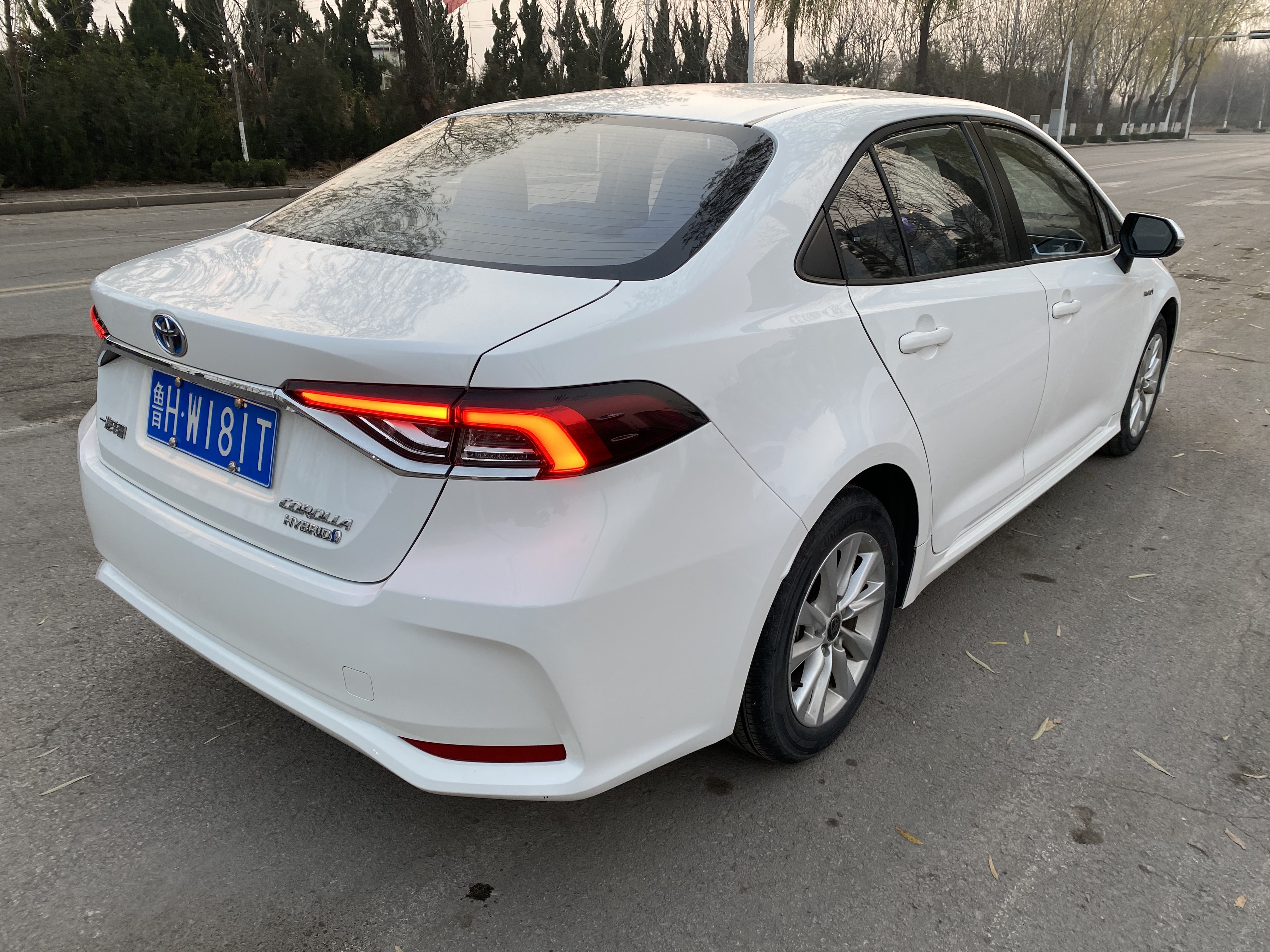 Corolla 2023 car image #6