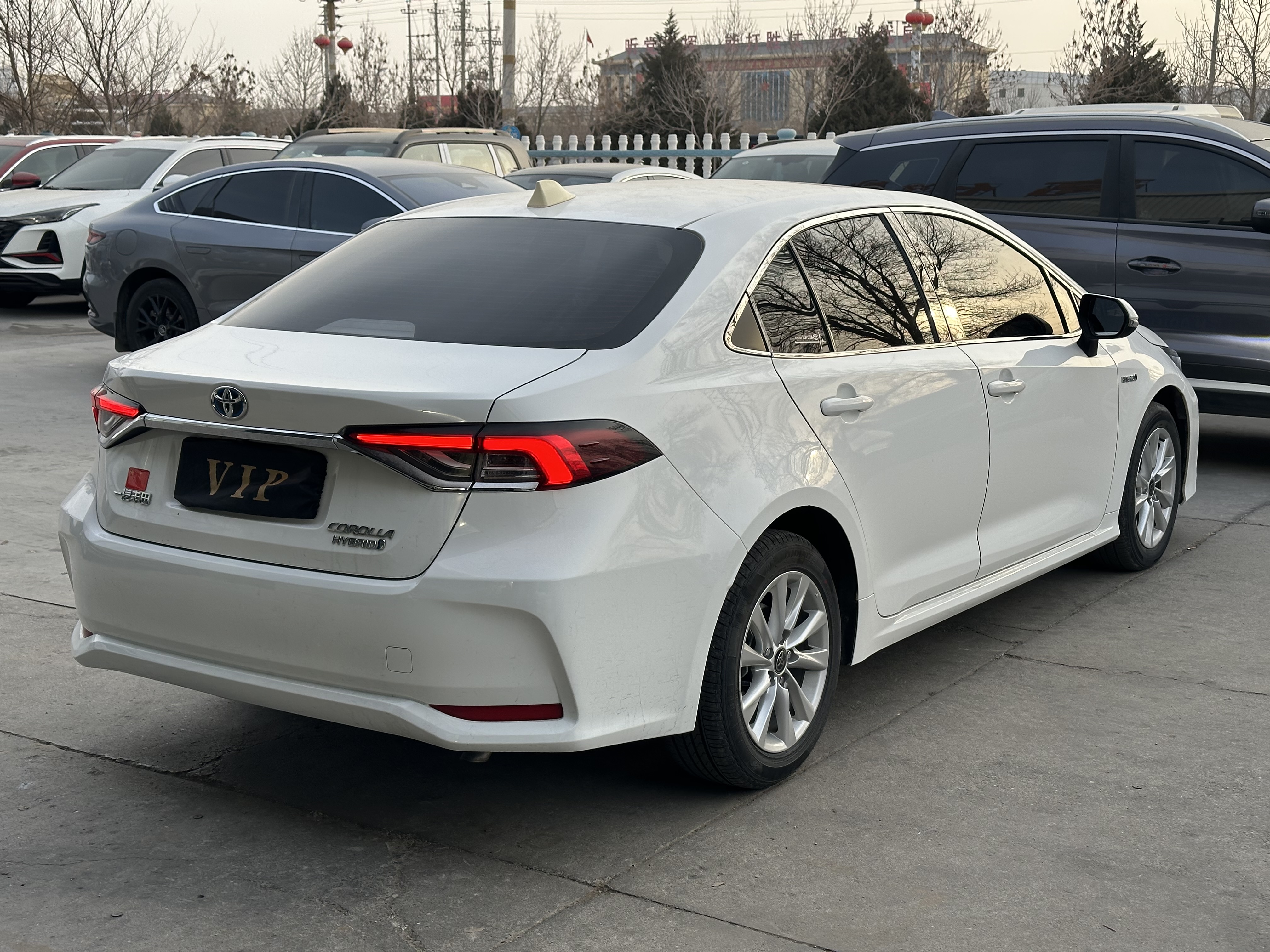 Toyota Corolla 2023 #6 Toyota Corolla 2023 car image #6