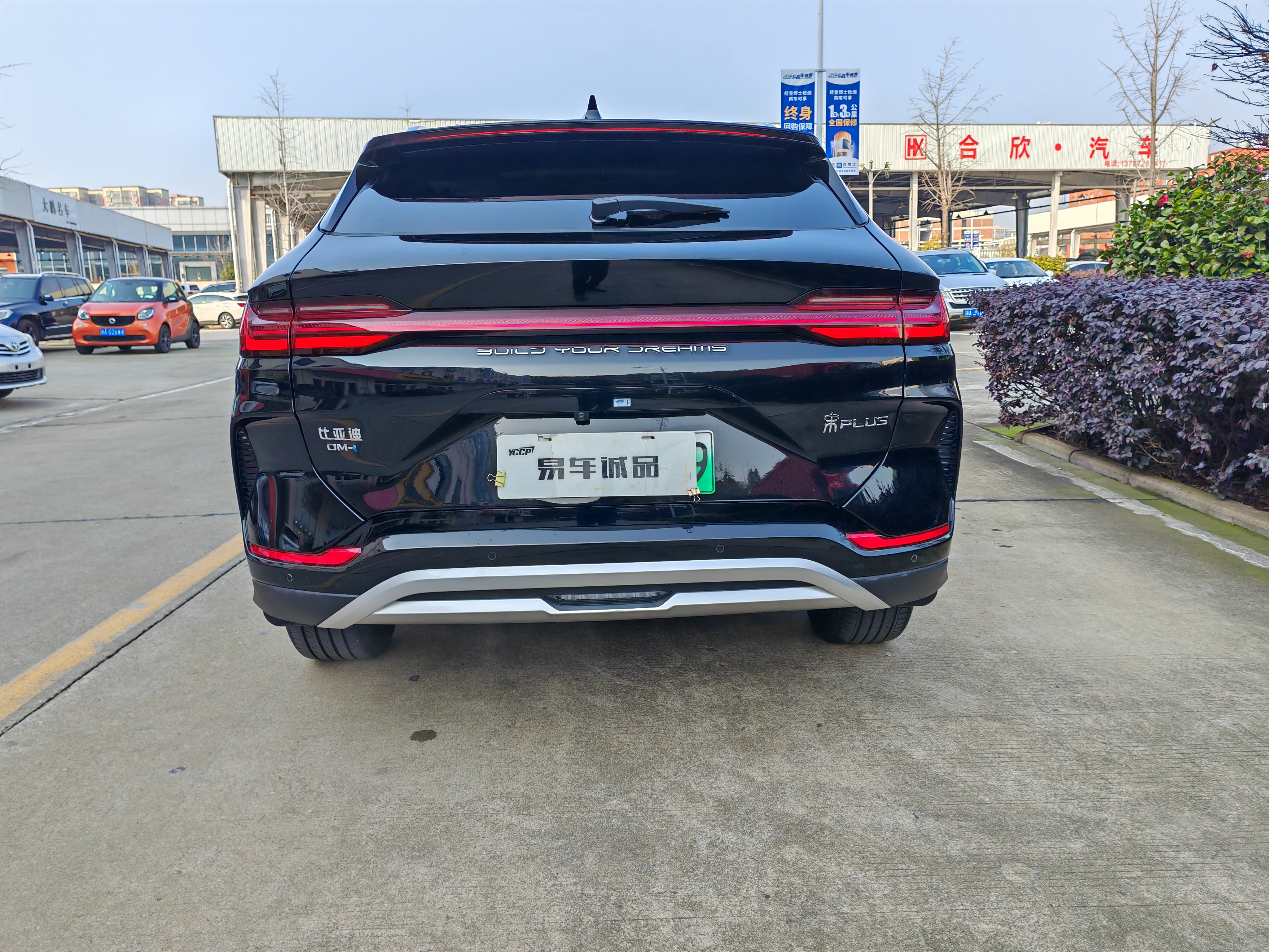 BYD Song Plus New Energy 2023 car image #6