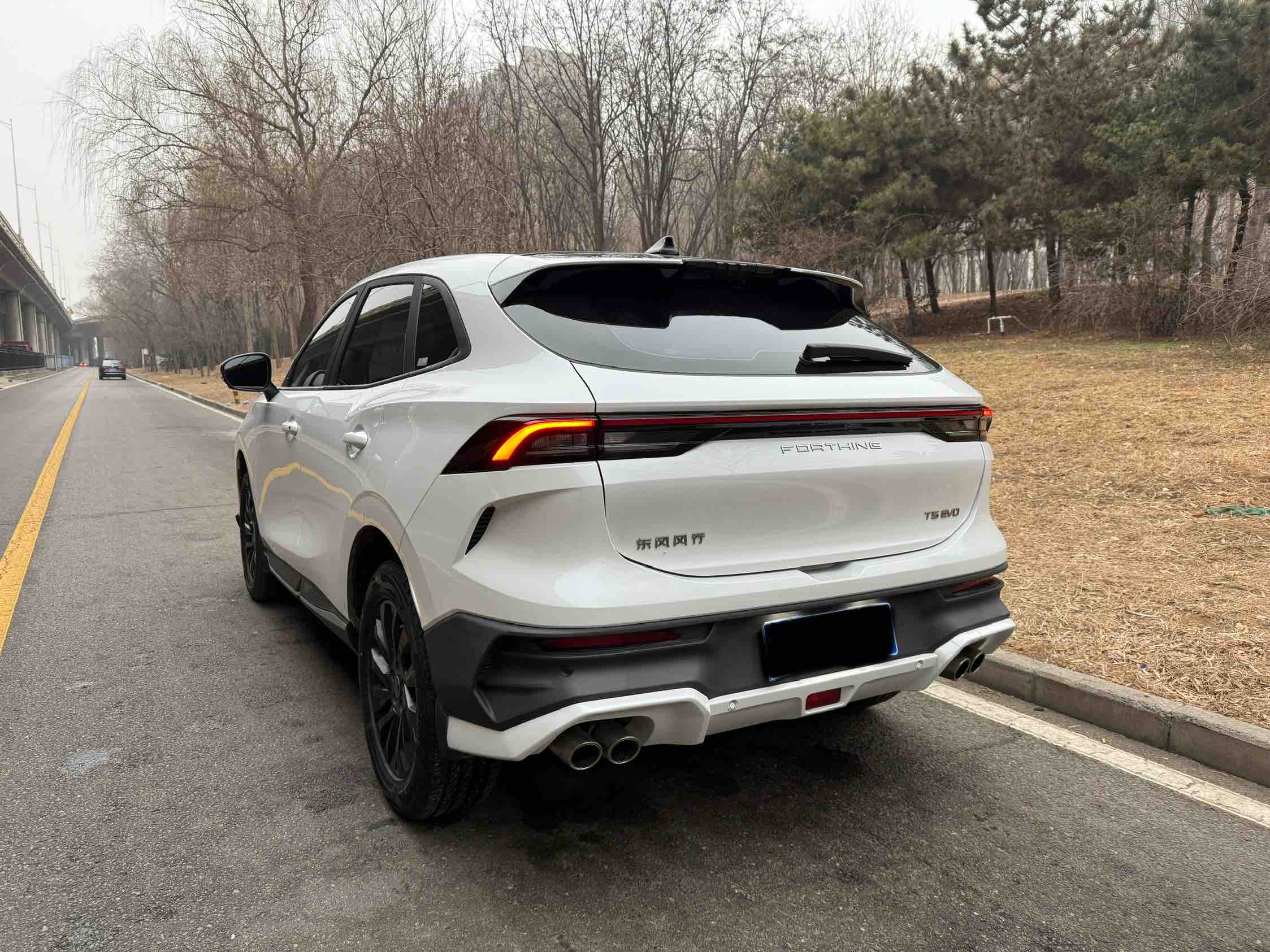 T5 EVO 2024 #6 T5 EVO 2024 immagine di auto #6