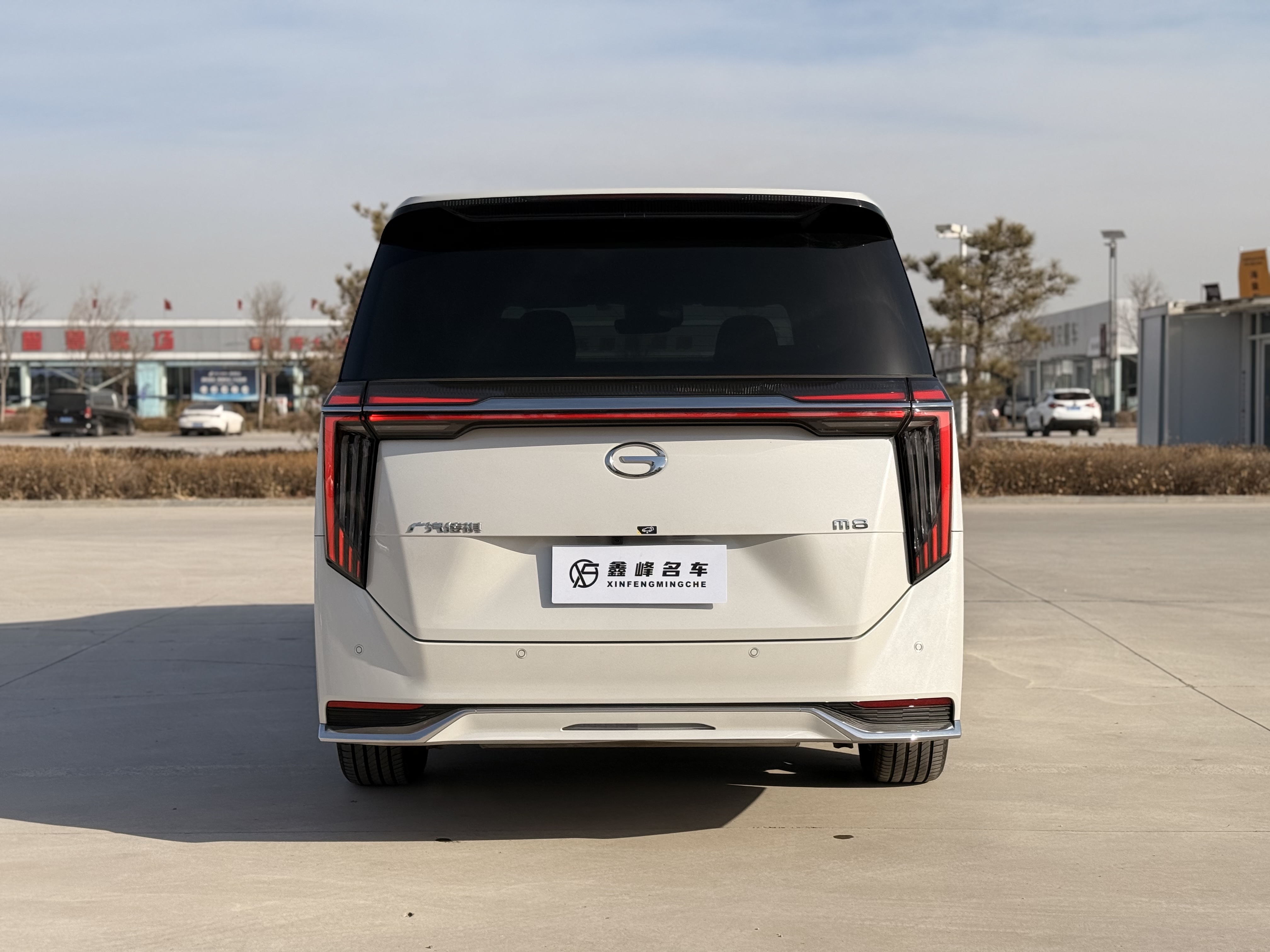 GAC Trumpchi M8 2024 car image #6